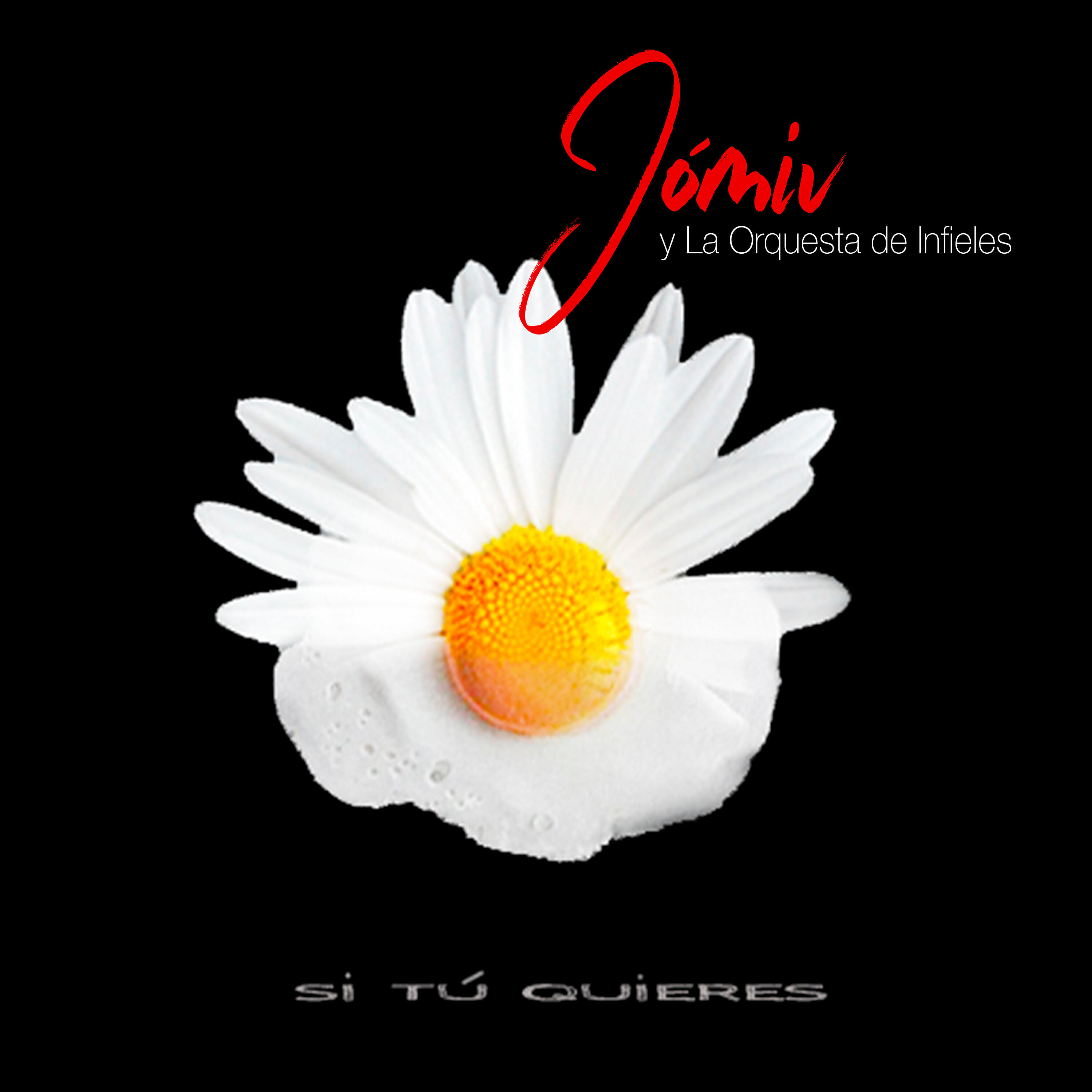 Релиз Si Tú Quieres