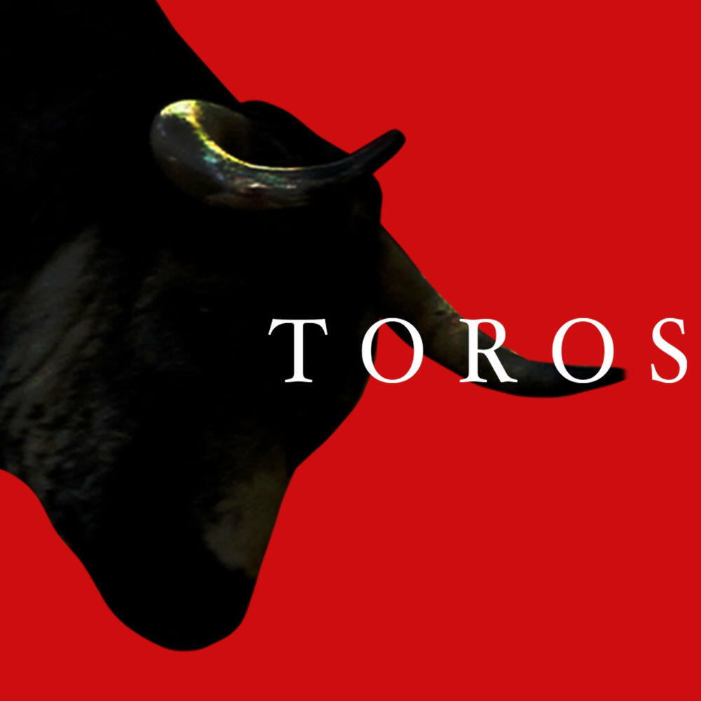 Релиз Toros