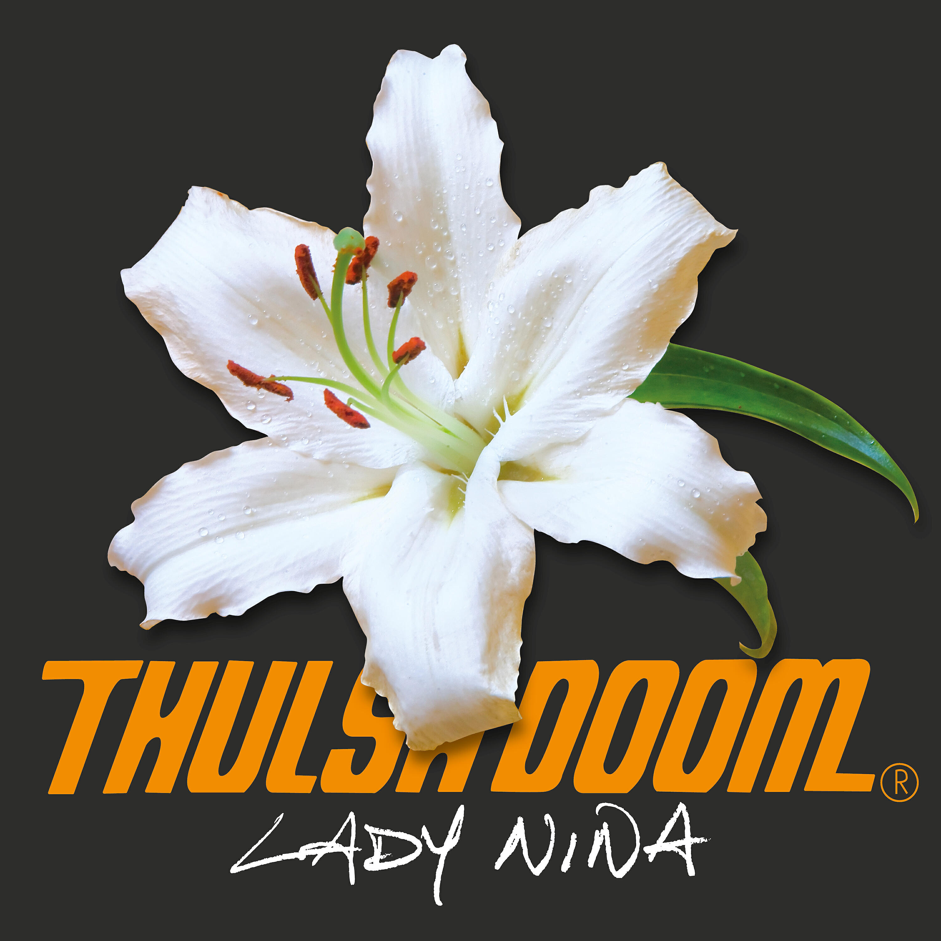 Релиз Lady Nina