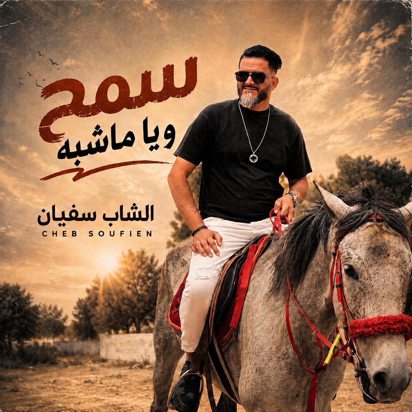 Cheb Soufien
