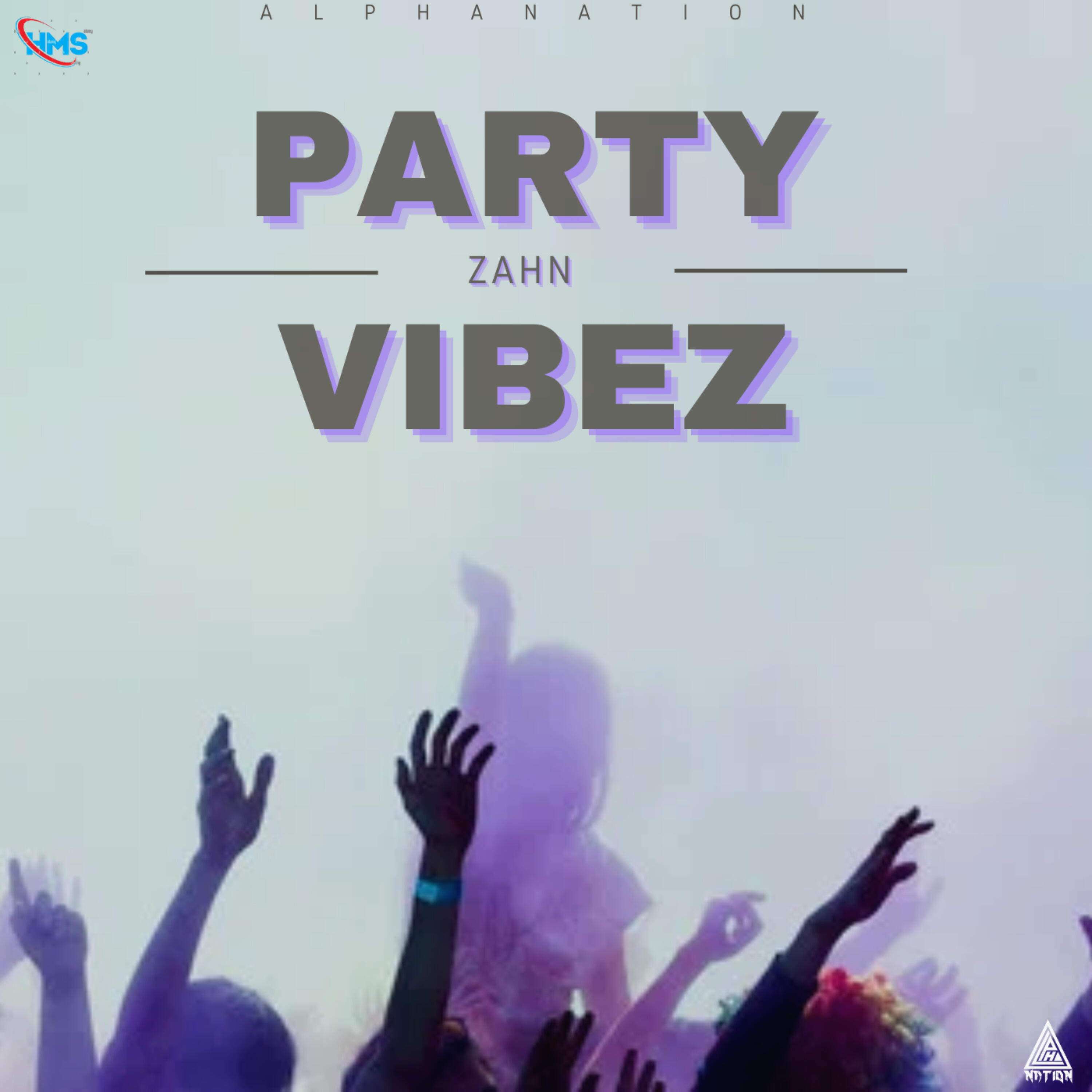 Релиз Party Vibez