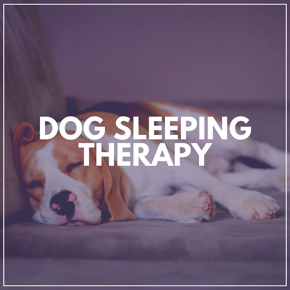 Релиз Dog Sleeping Therapy