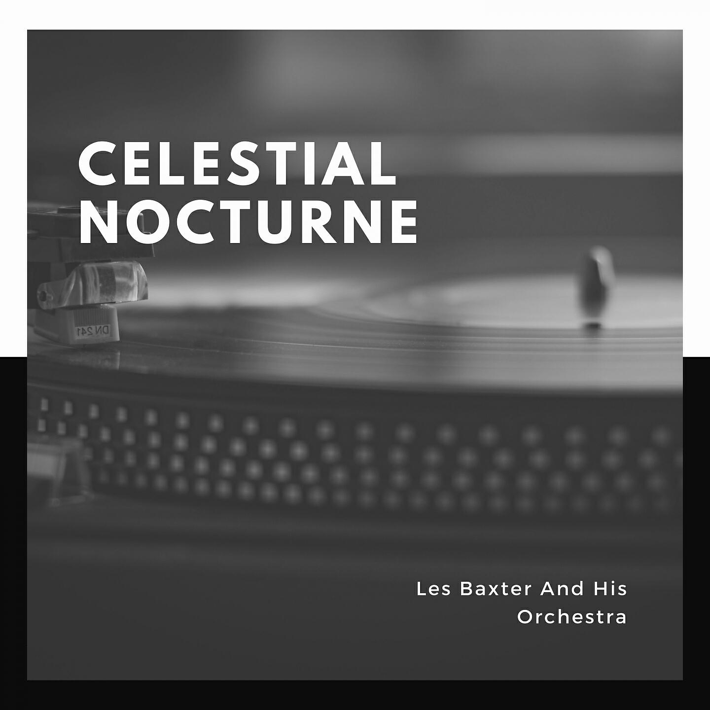 Релиз Celestial Nocturne