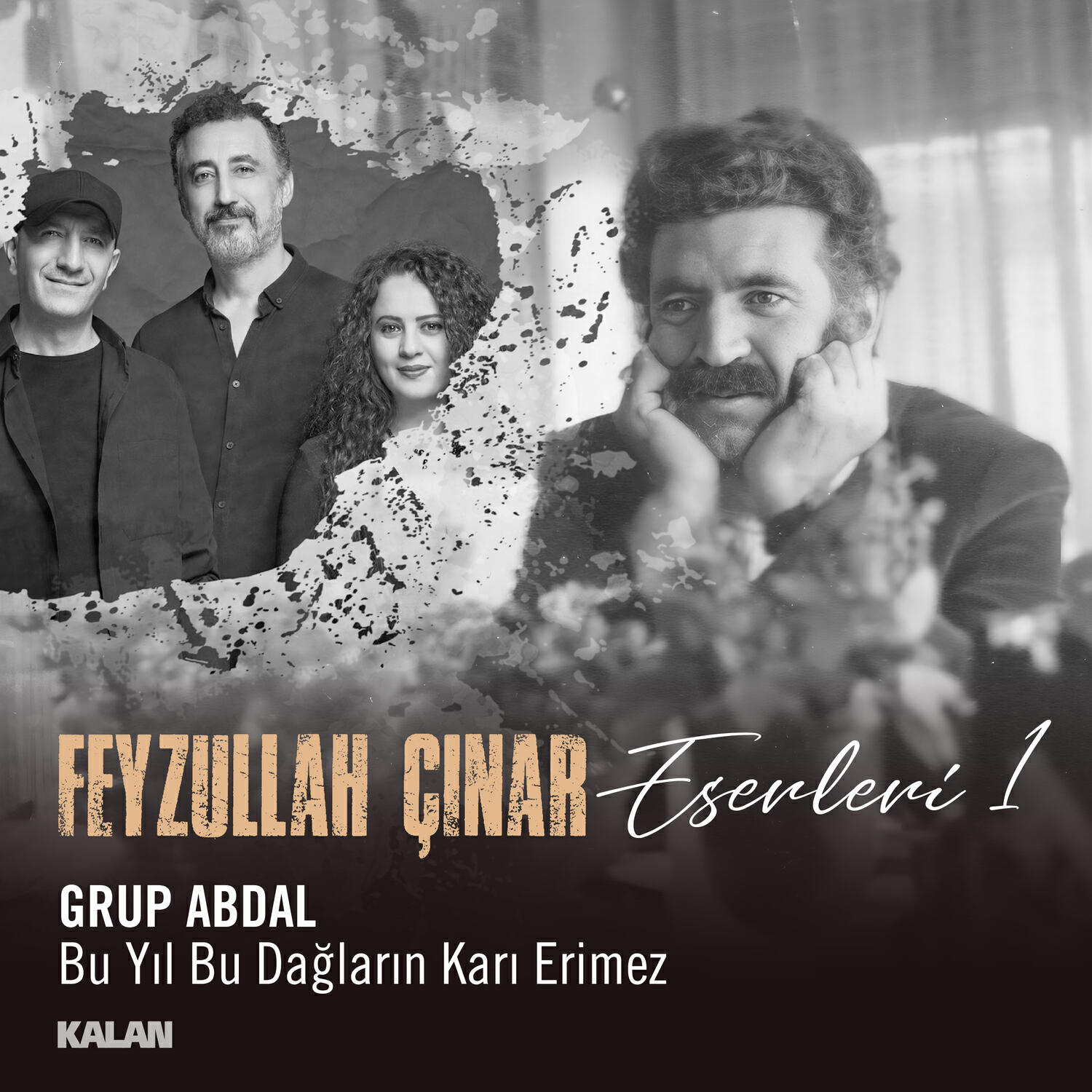 Релиз Bu Yıl Bu Dağların Karı Erimez (Feyzullah Çınar Eserleri 1)