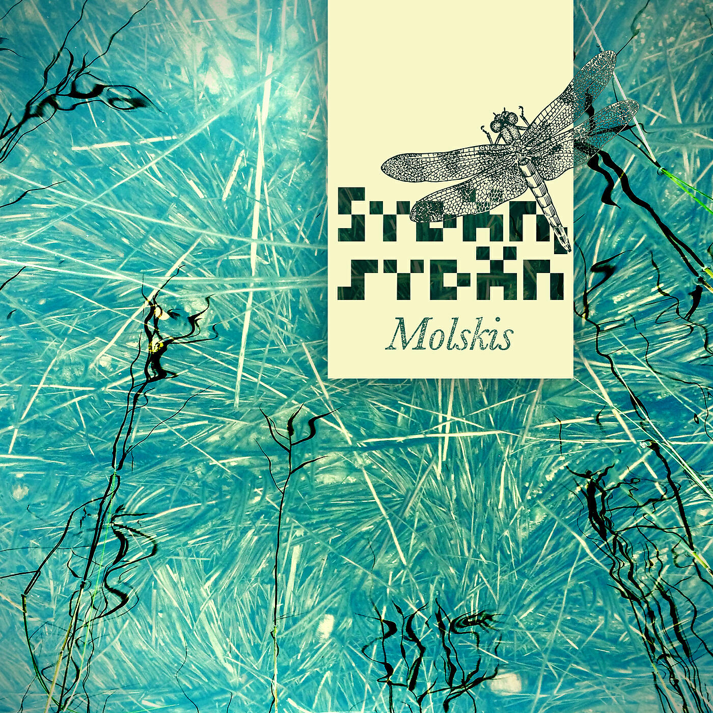 Релиз Molskis