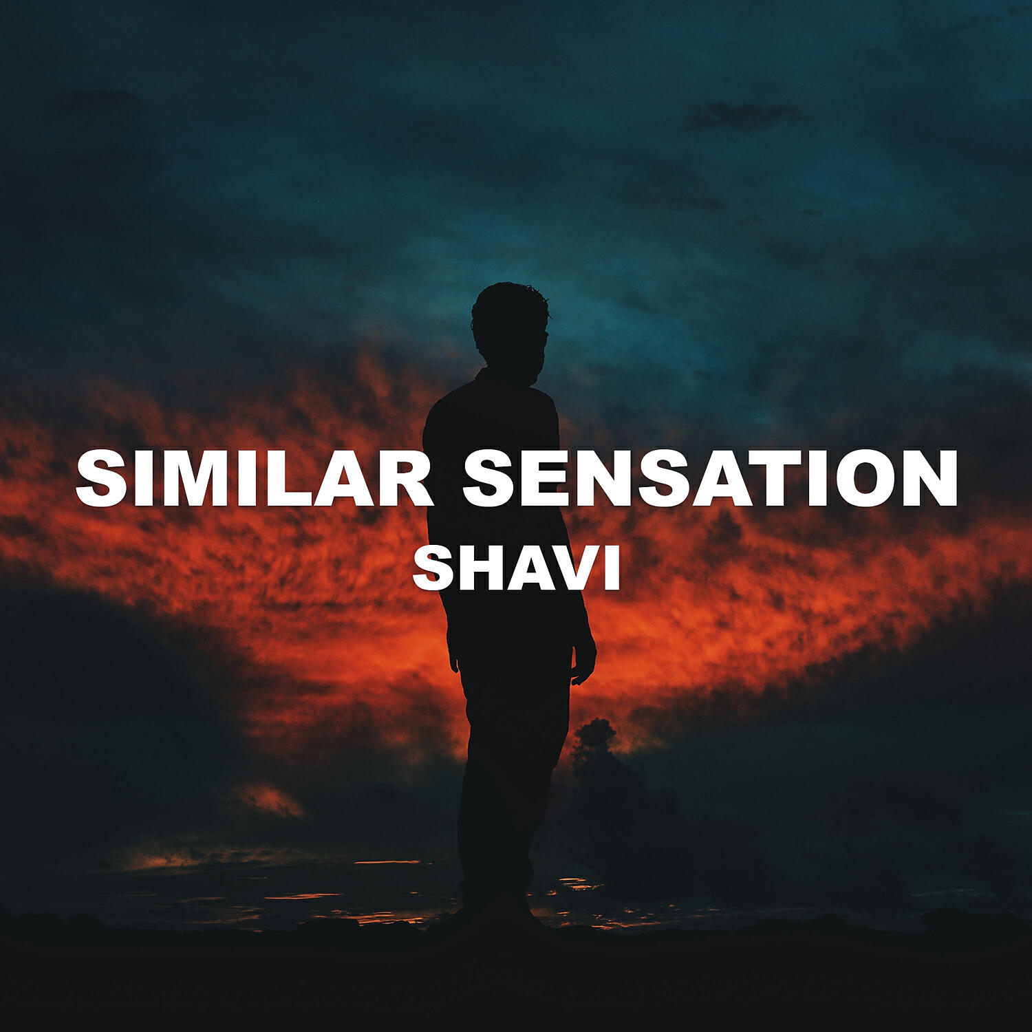 Shavi - Similar Sensation