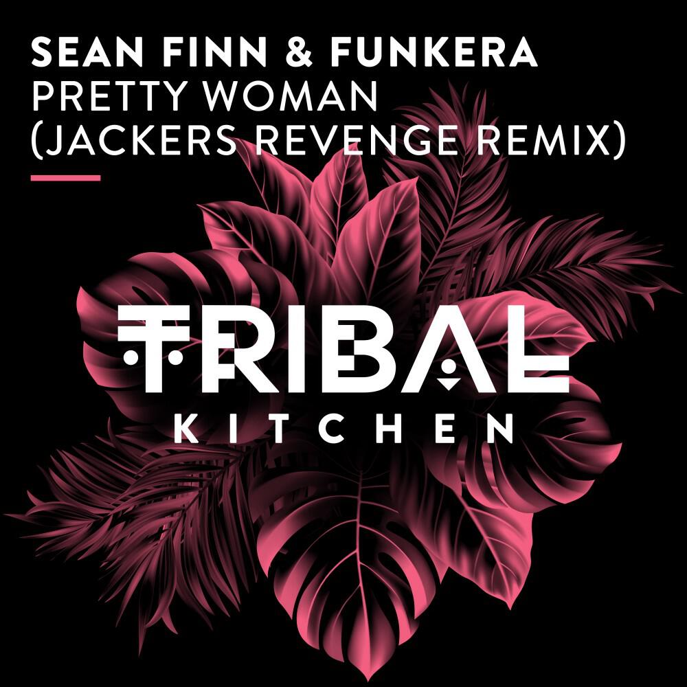 Релиз Pretty Woman (Jackers Revenge Remix)