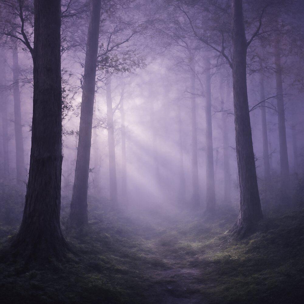 Релиз Meditation Music: A Gentle Pause