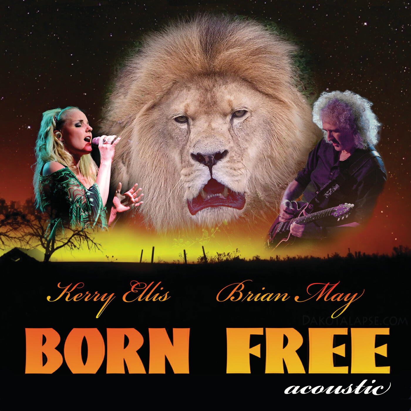 Релиз Born Free