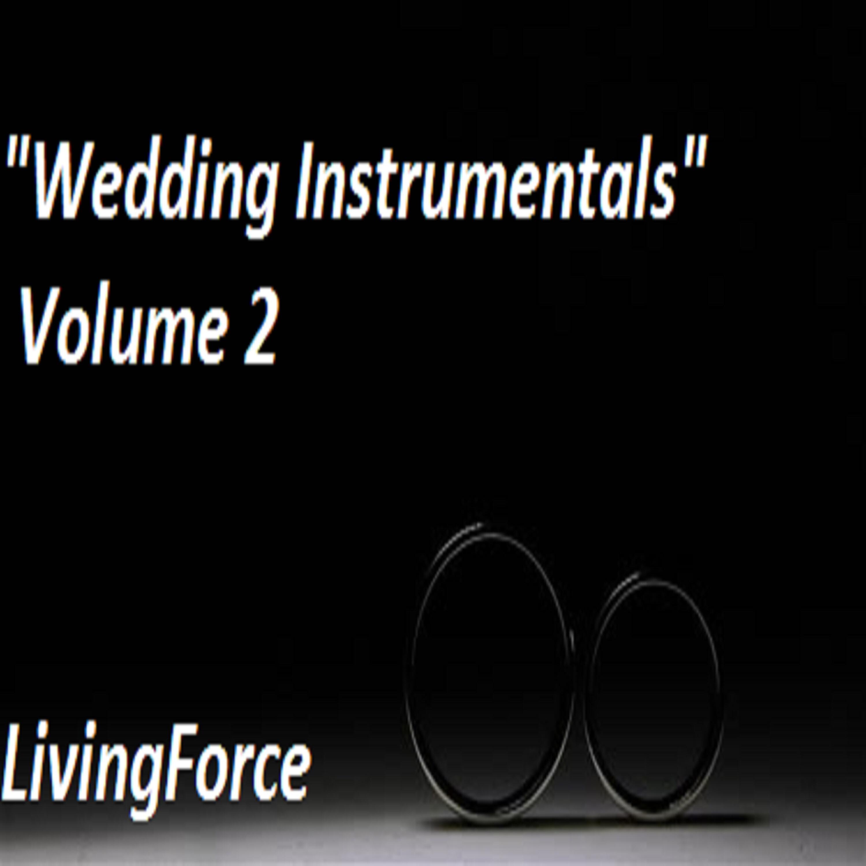 Релиз Wedding Instrumentals, Vol. 2