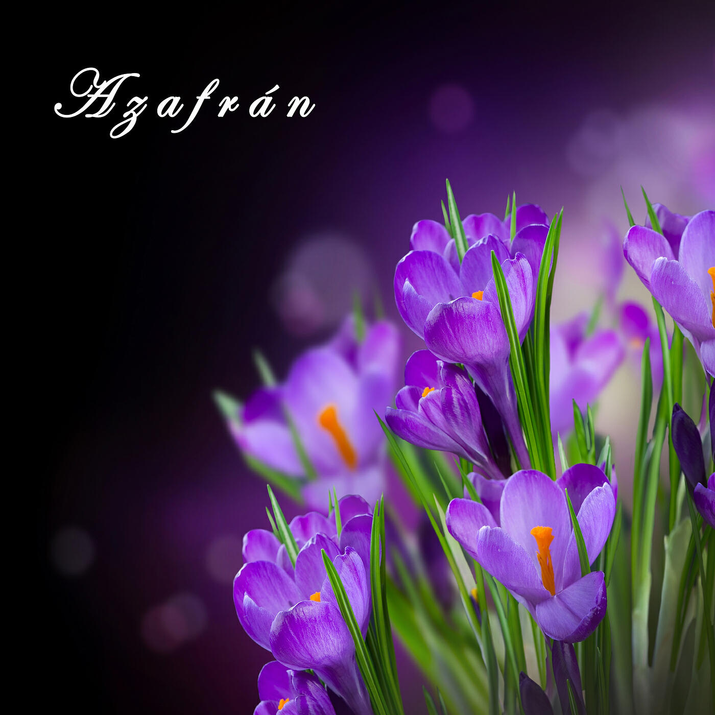 Релиз Azafrán