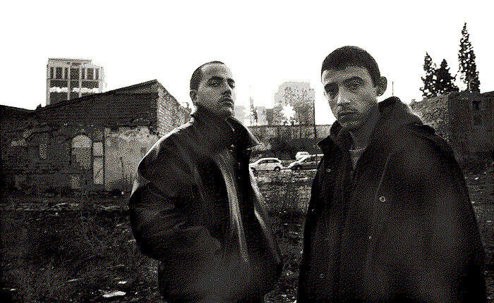 Perros Callejeros