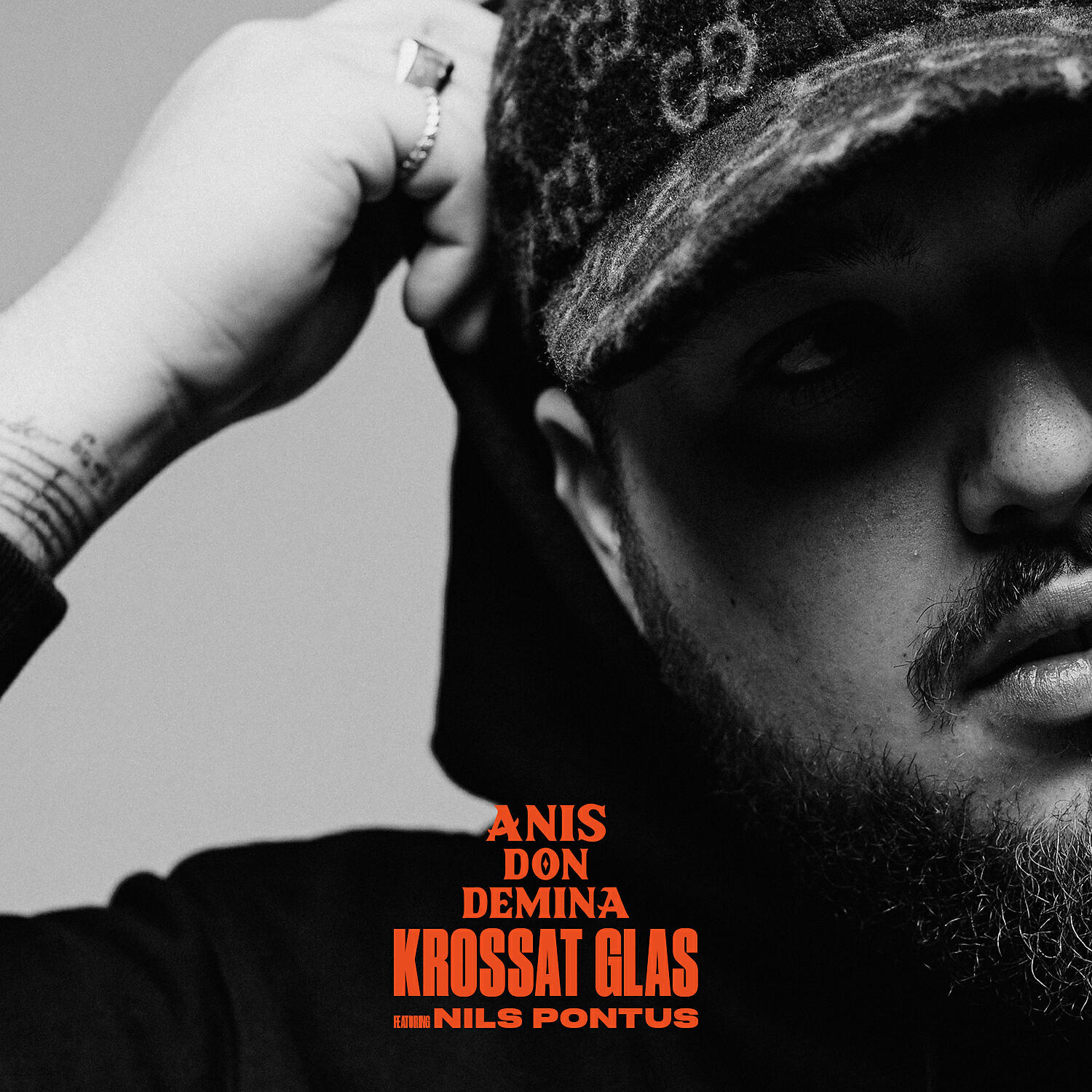 Релиз Krossat glas (feat. Nils Pontus)