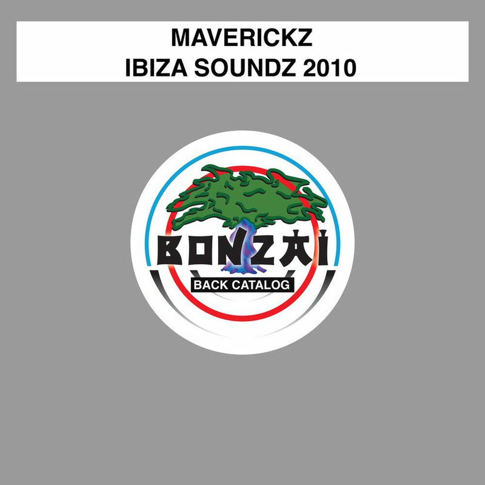 Релиз Ibiza Soundz 2010