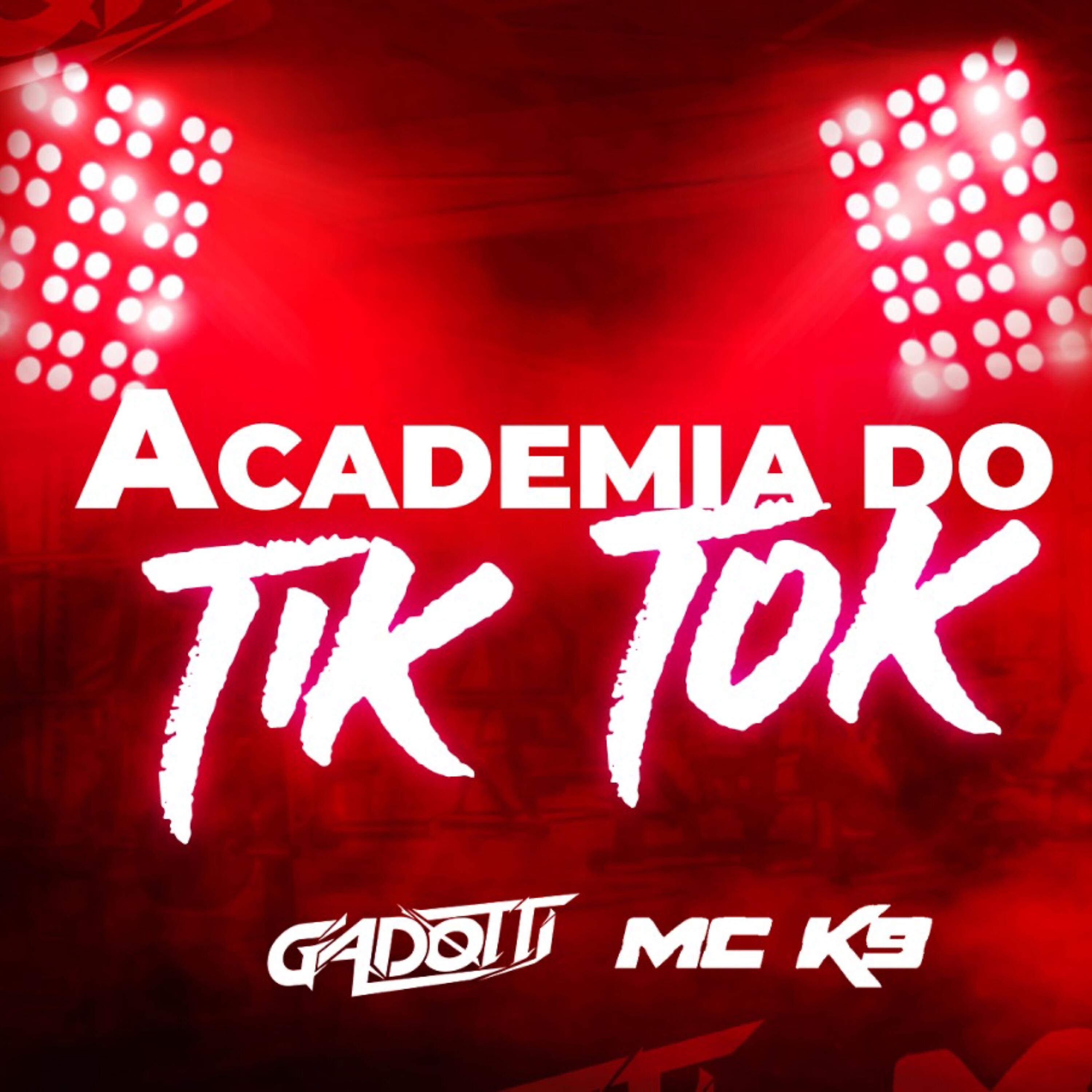 Релиз Academia do Tiktok