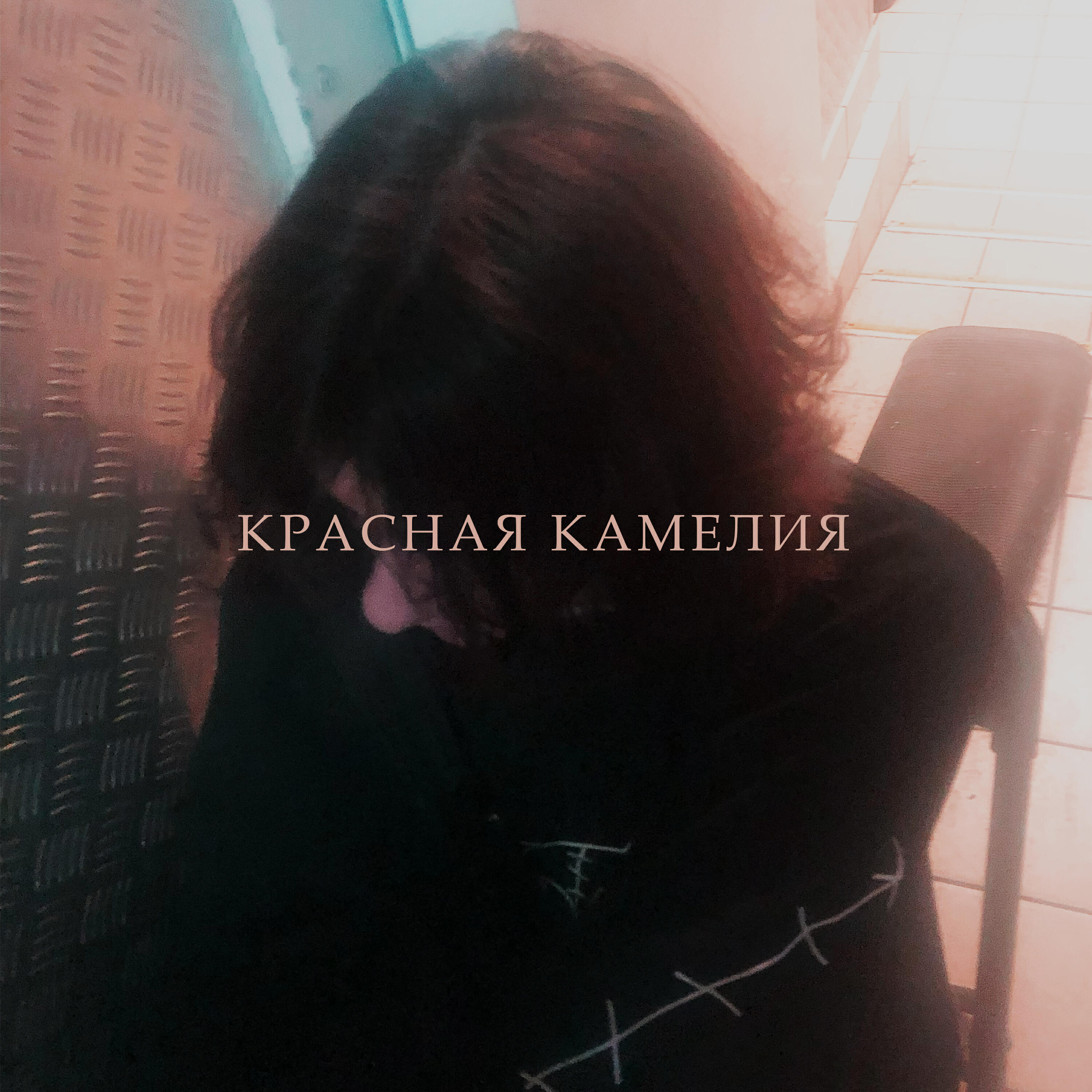 Релиз Красная камелия