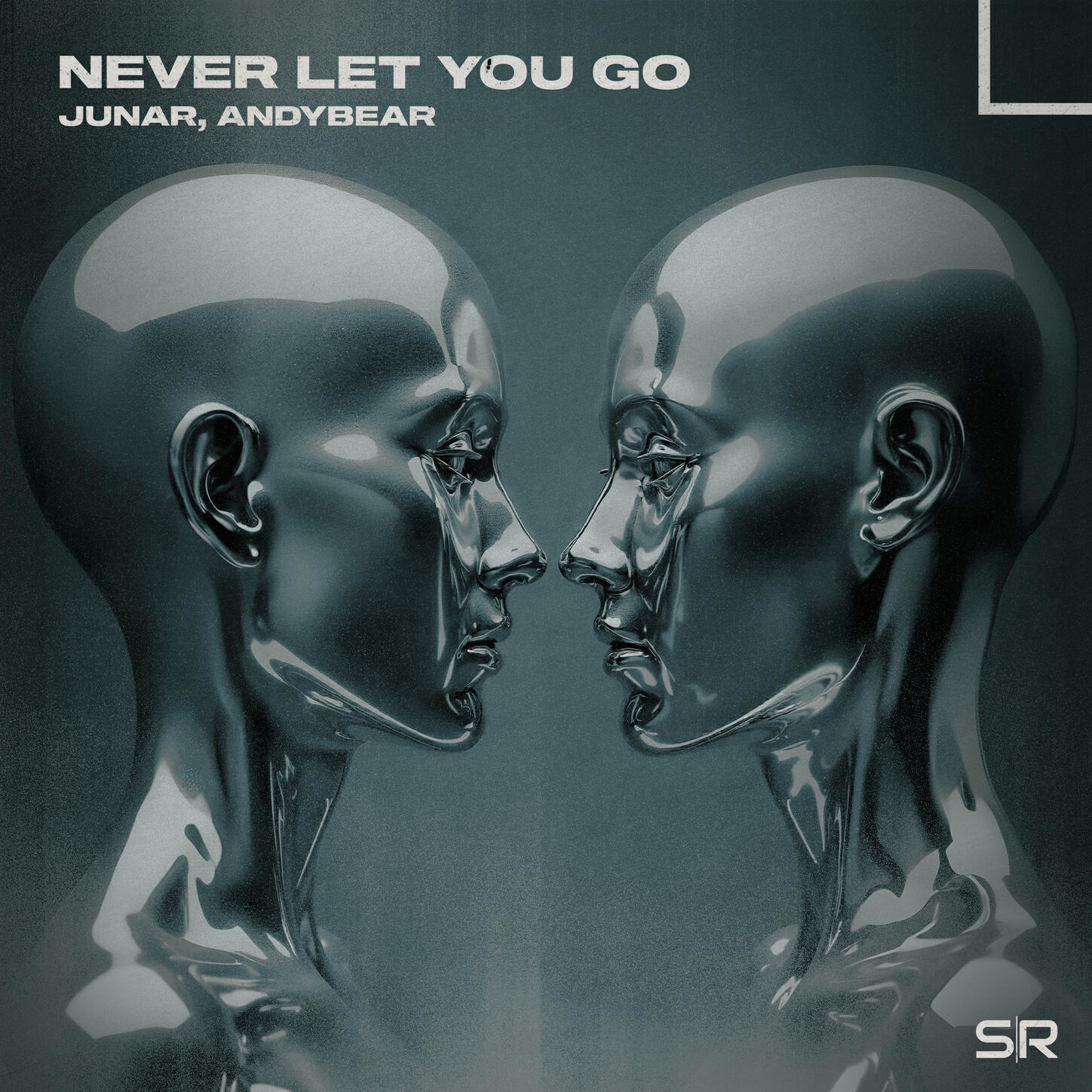 Релиз Never Let You Go