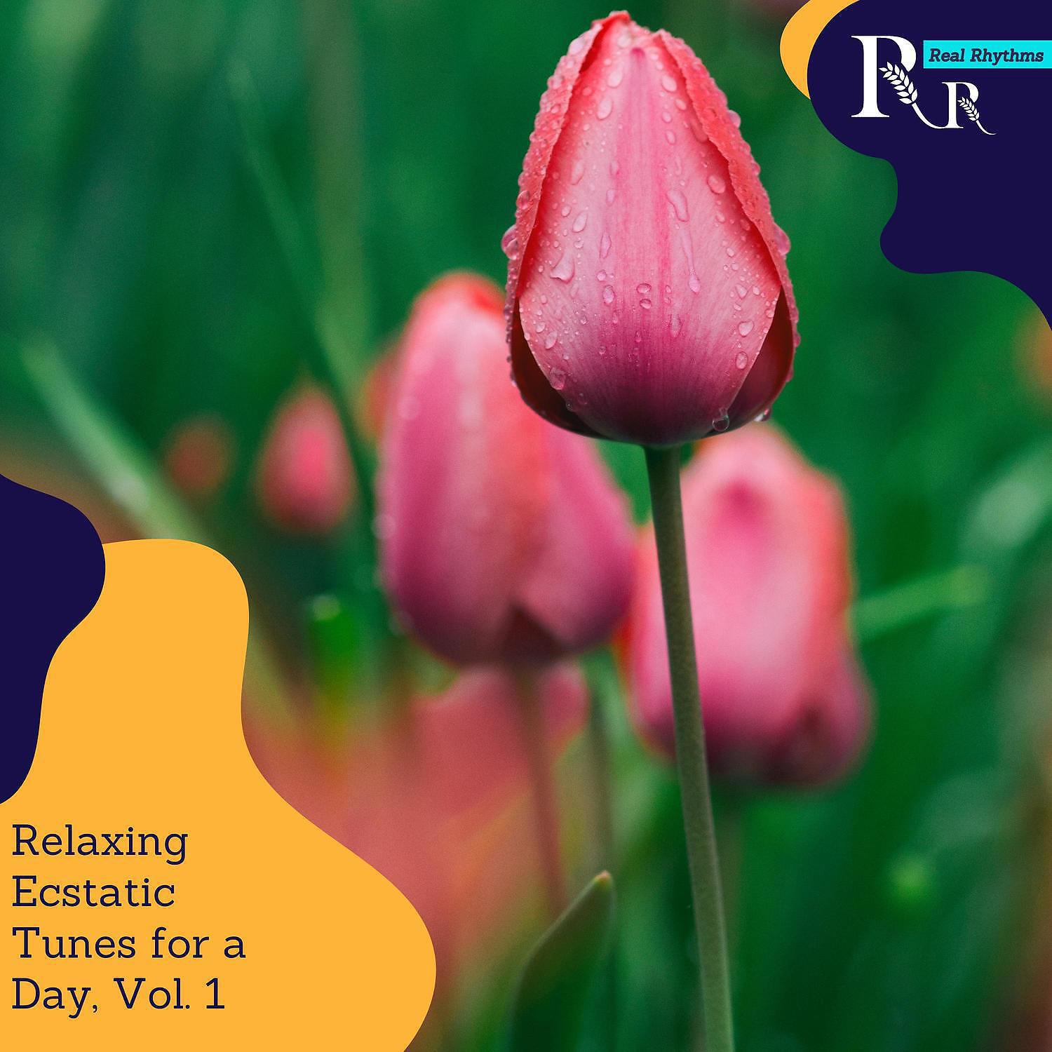 Релиз Relaxing Ecstatic Tunes for a Day, Vol. 1