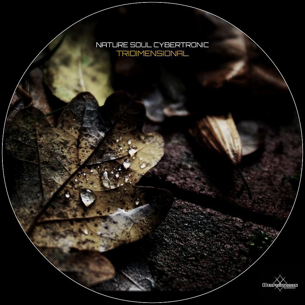 Релиз Tridimensional