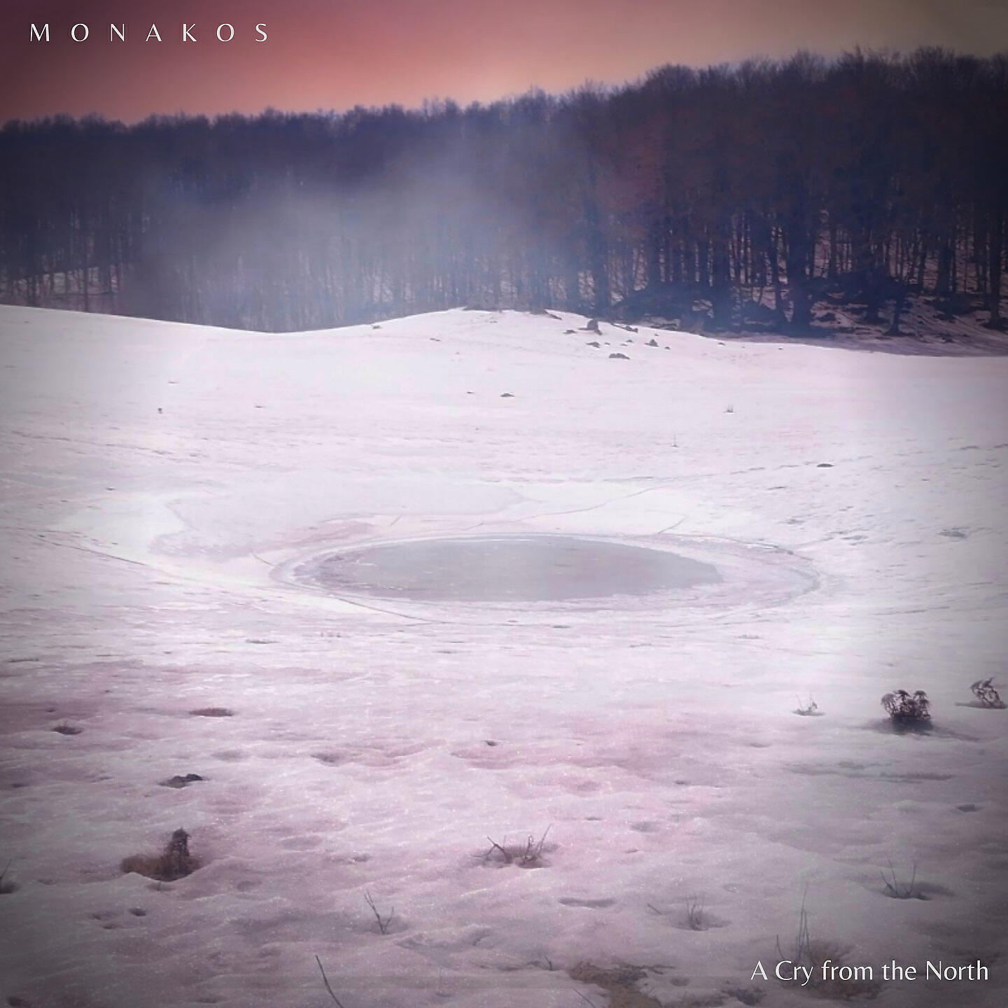 Релиз A Cry From the North