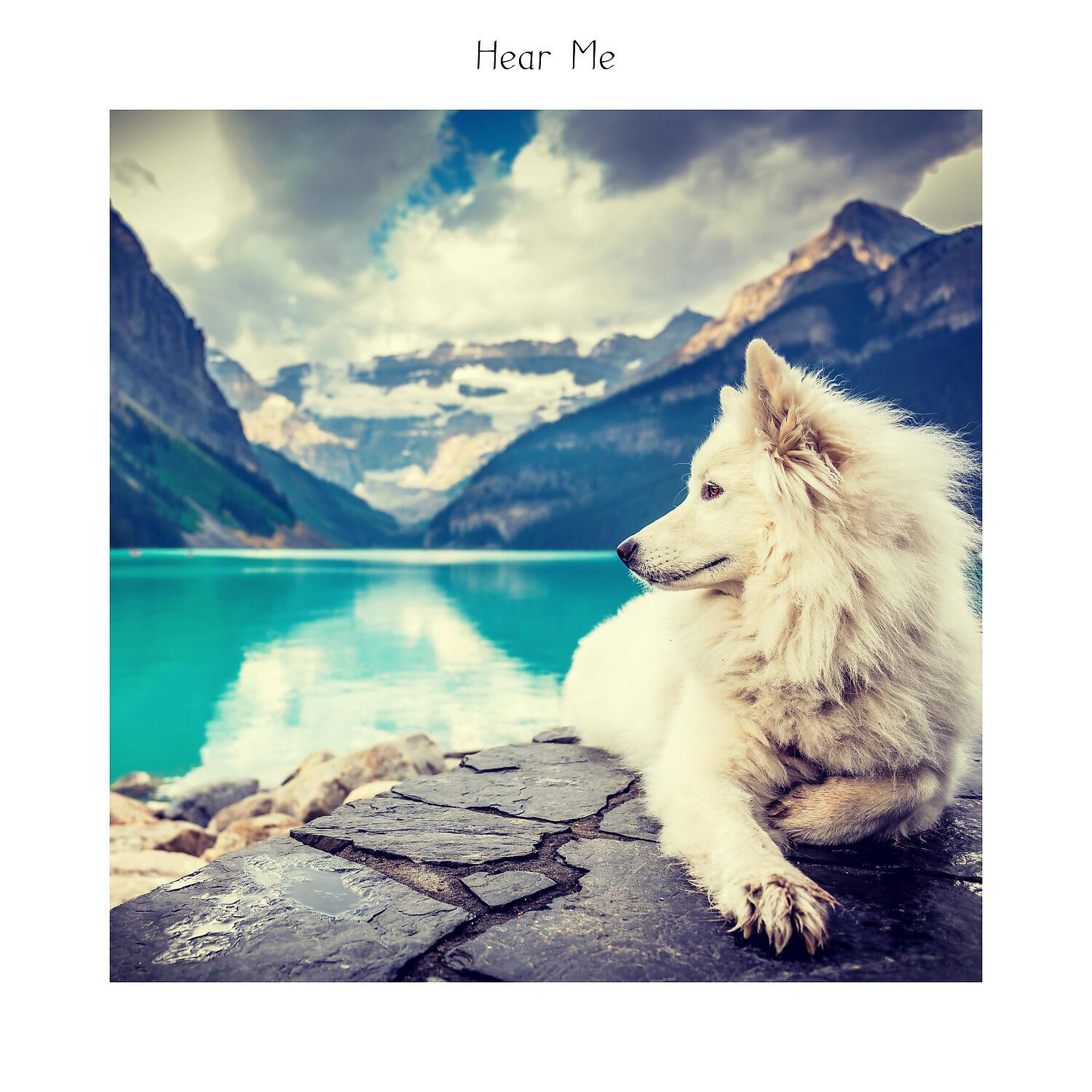 Релиз Hear Me