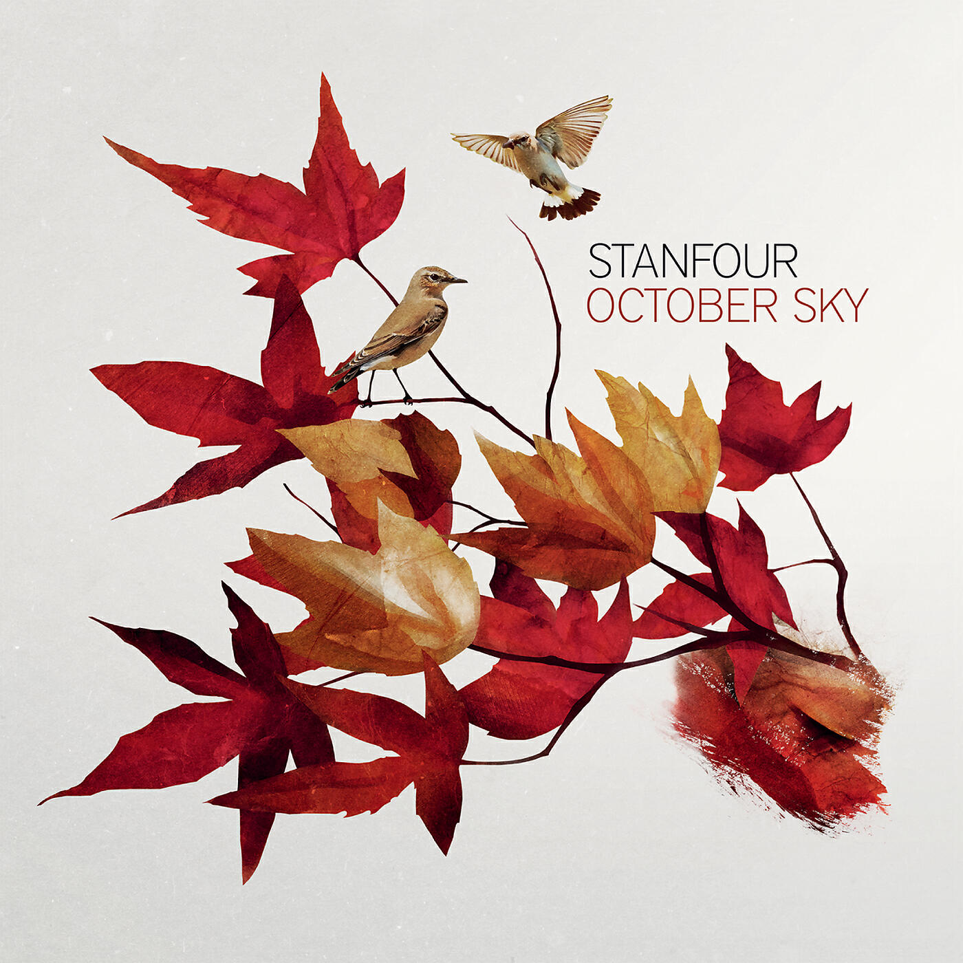 Релиз October Sky