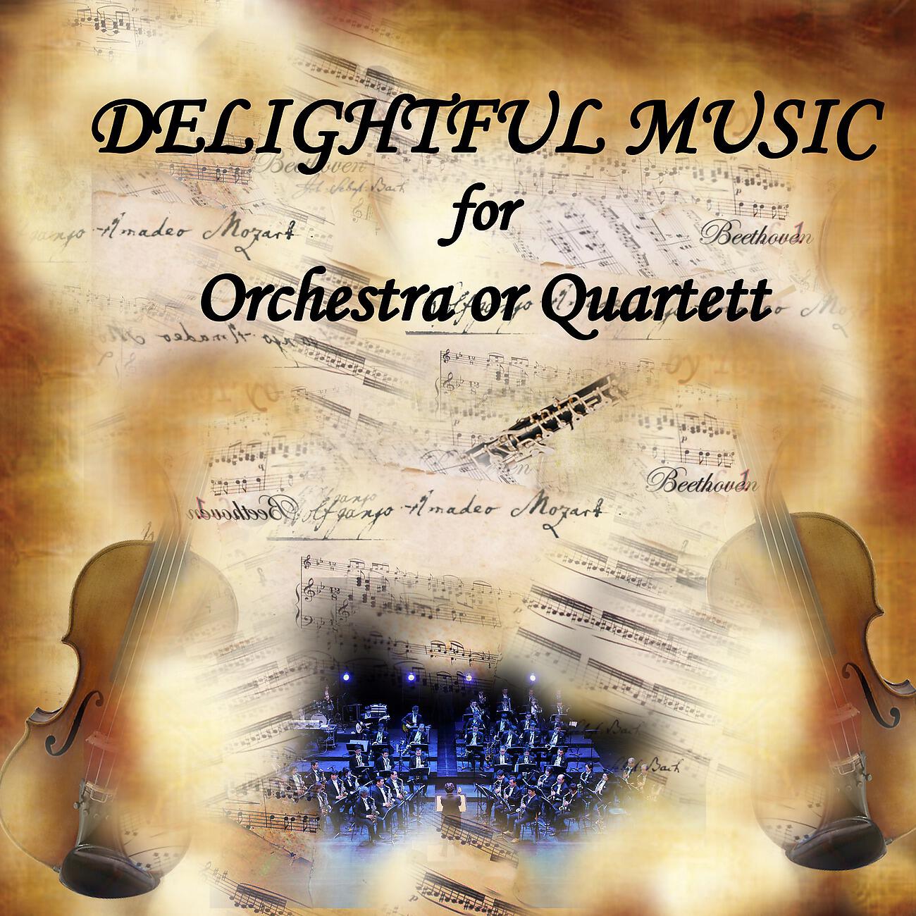 Релиз Delightful Music for Orchestra or Quartet, vol.1