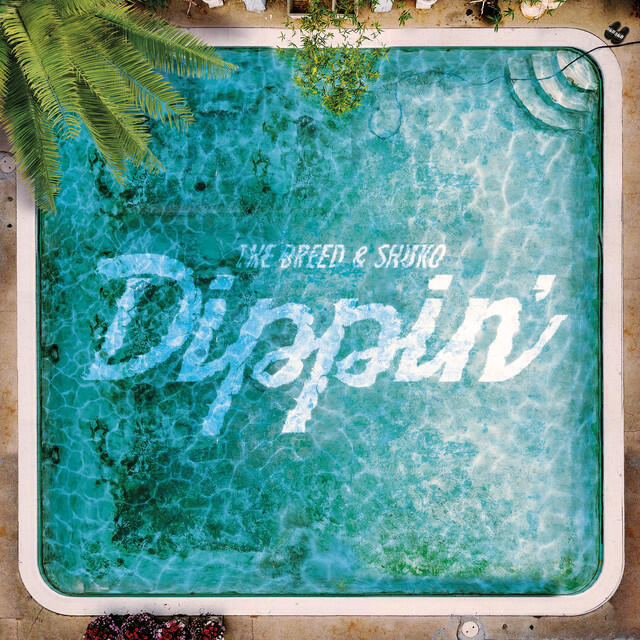 Релиз Dippin'