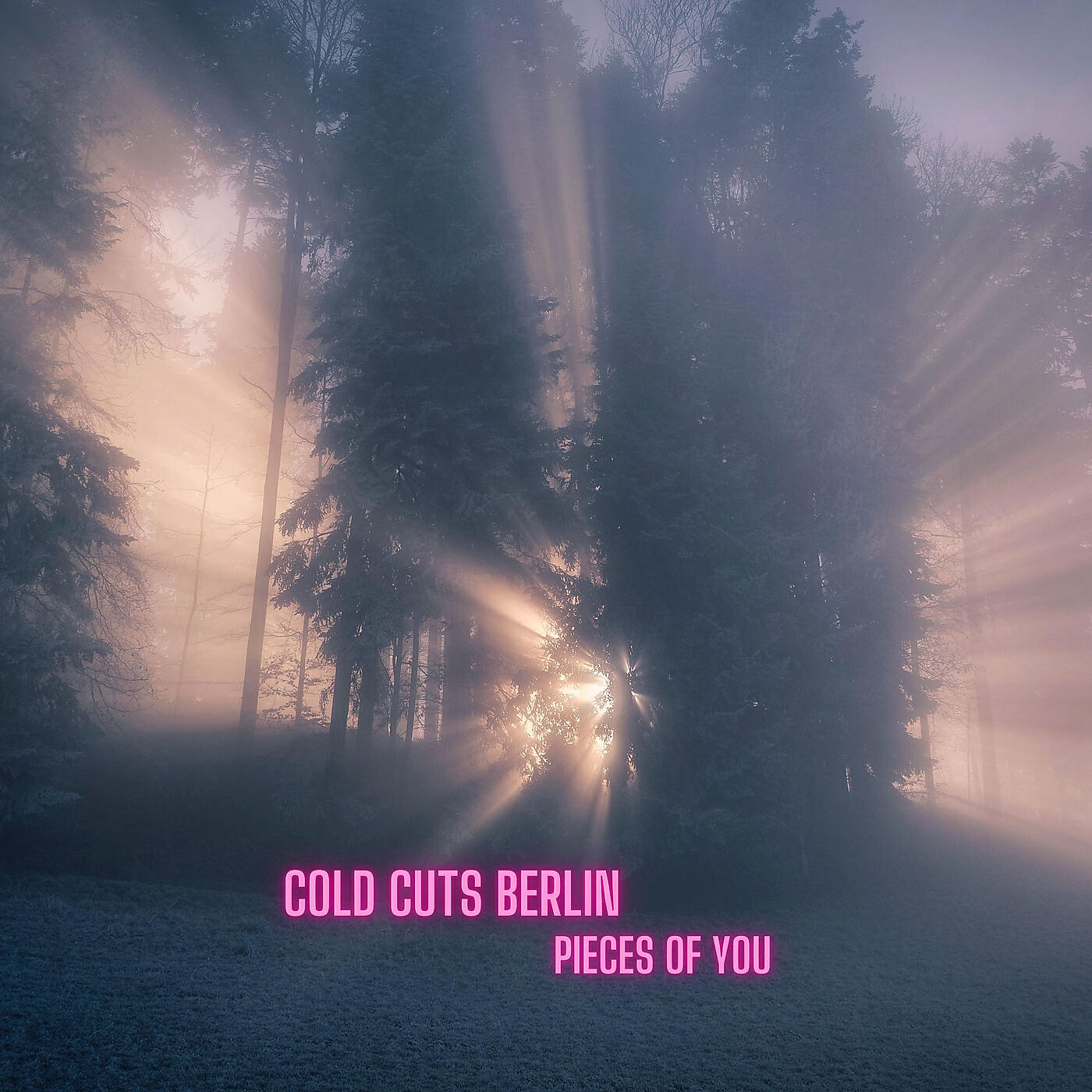 Релиз Pieces of You