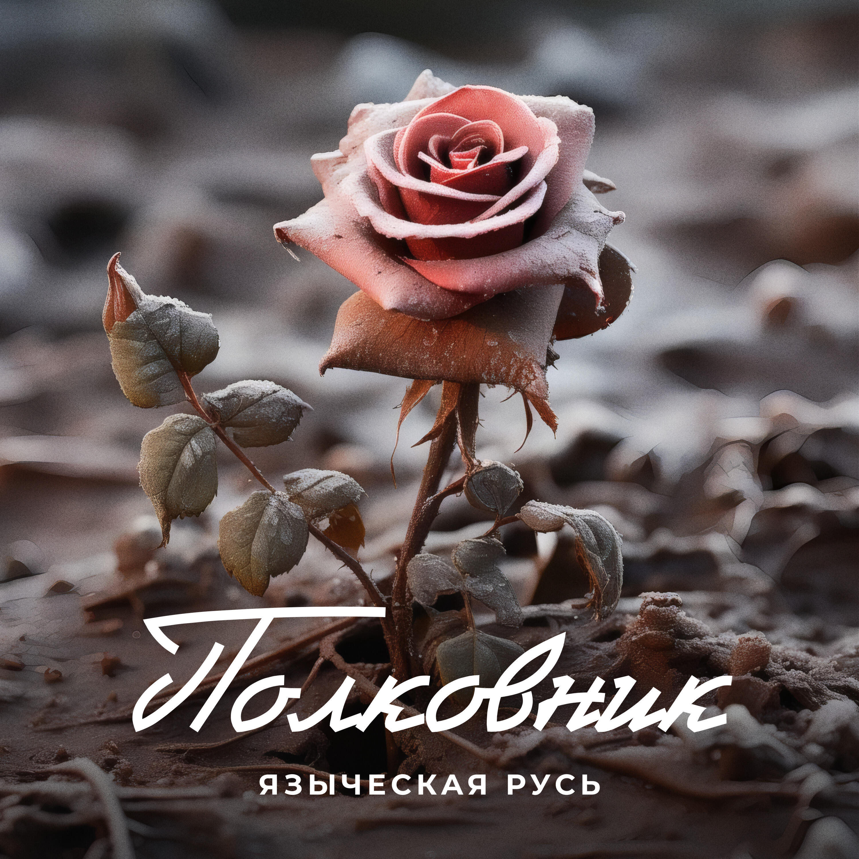 Постер альбома Полковник