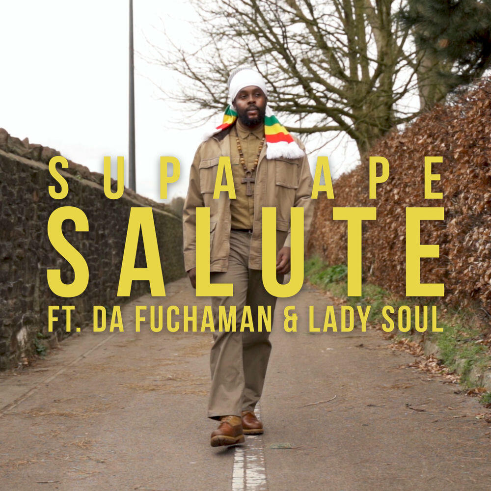 Релиз Salute