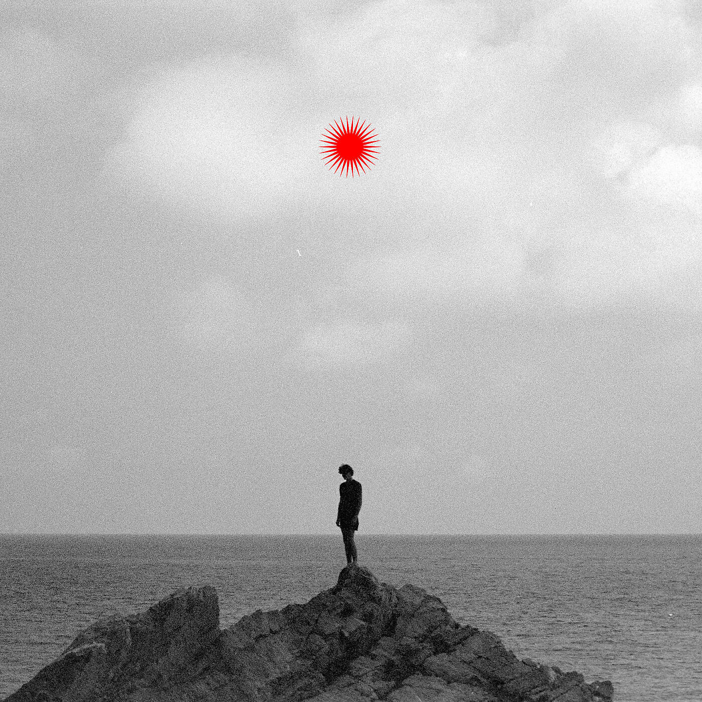Релиз Tall Trees That Never Fell