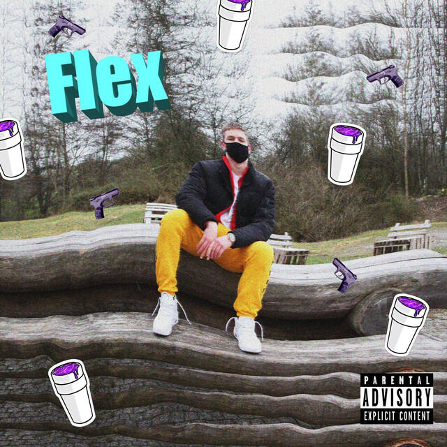 Релиз Flex