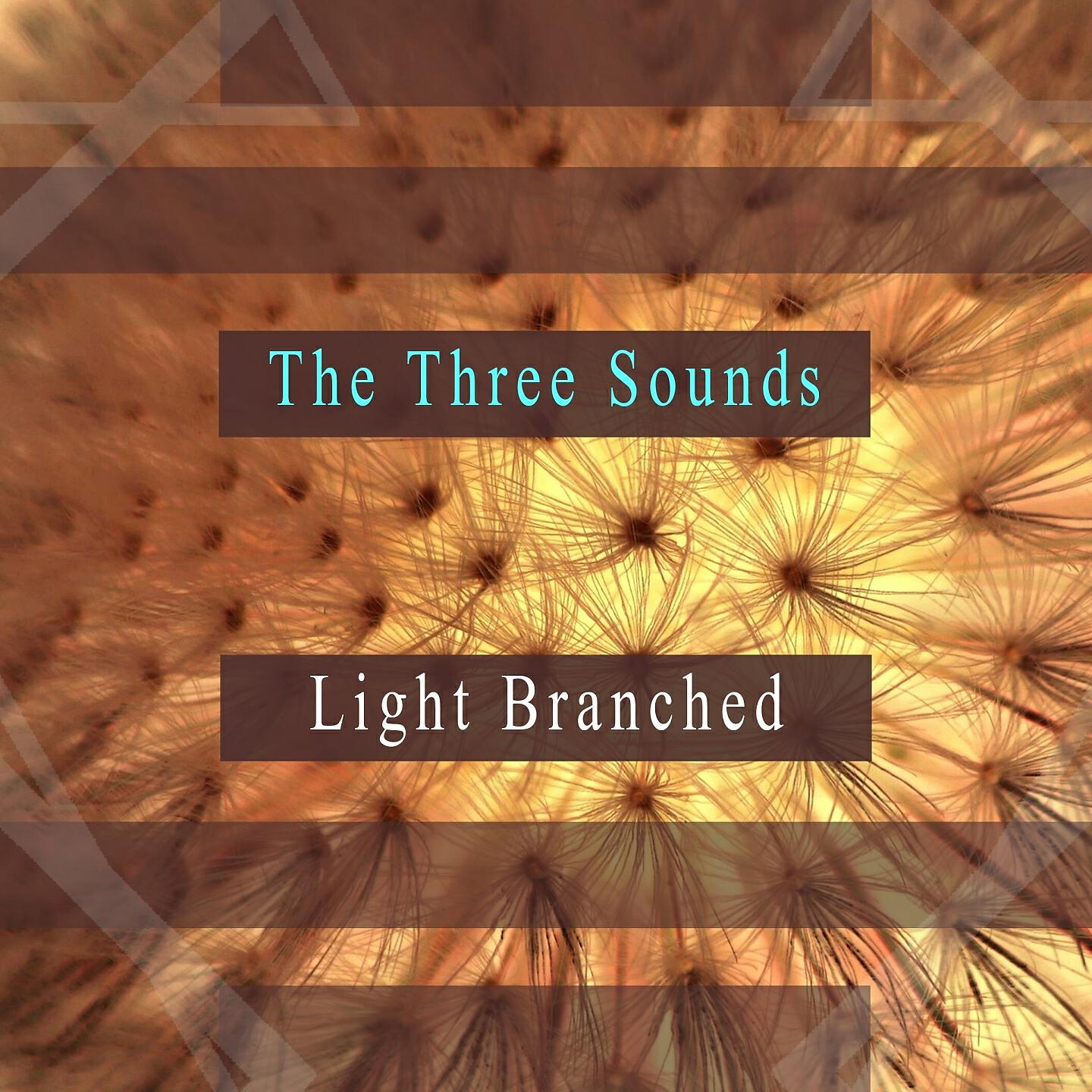Релиз Light Branched