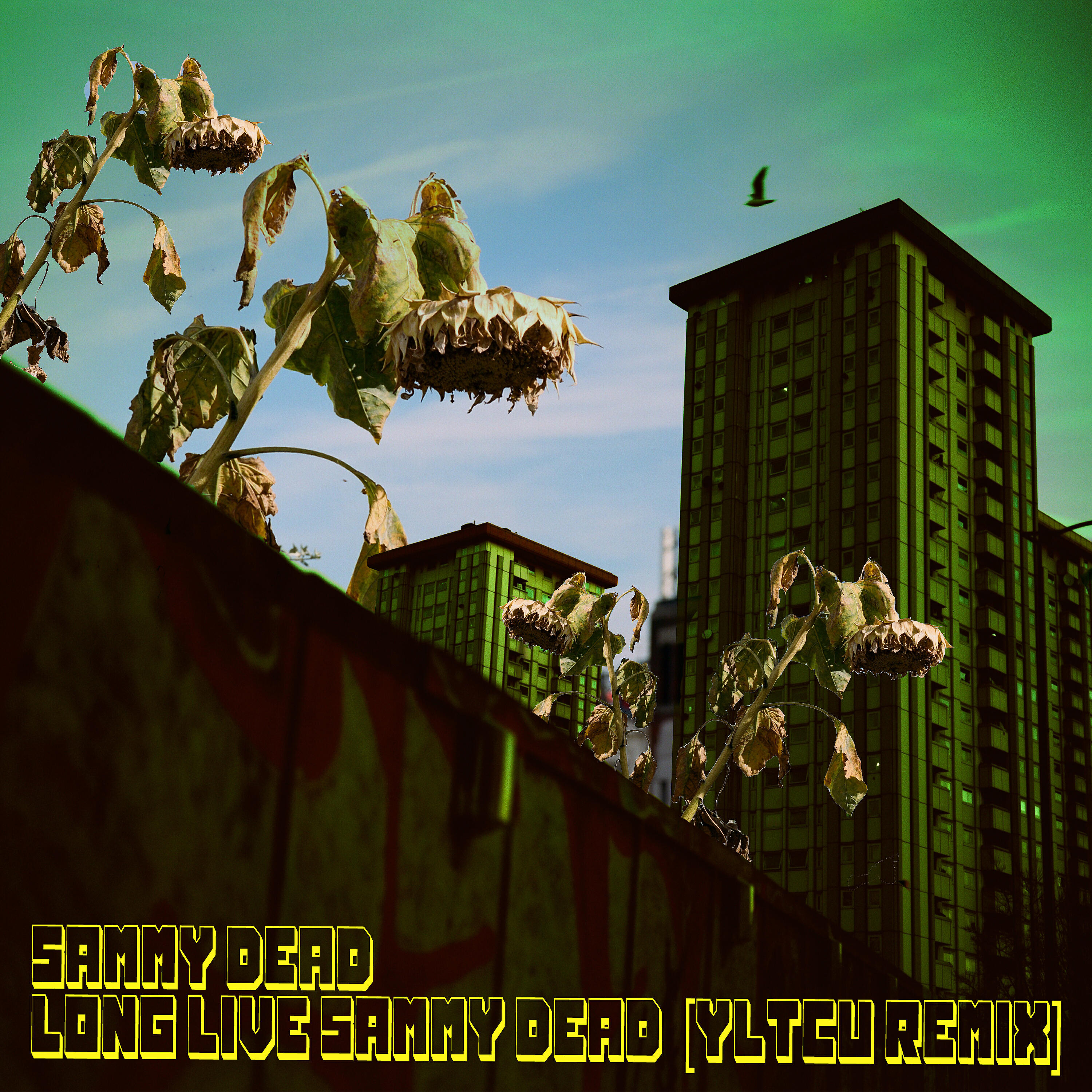 Релиз Long Live Sammy Dead (YLTCU Remix)