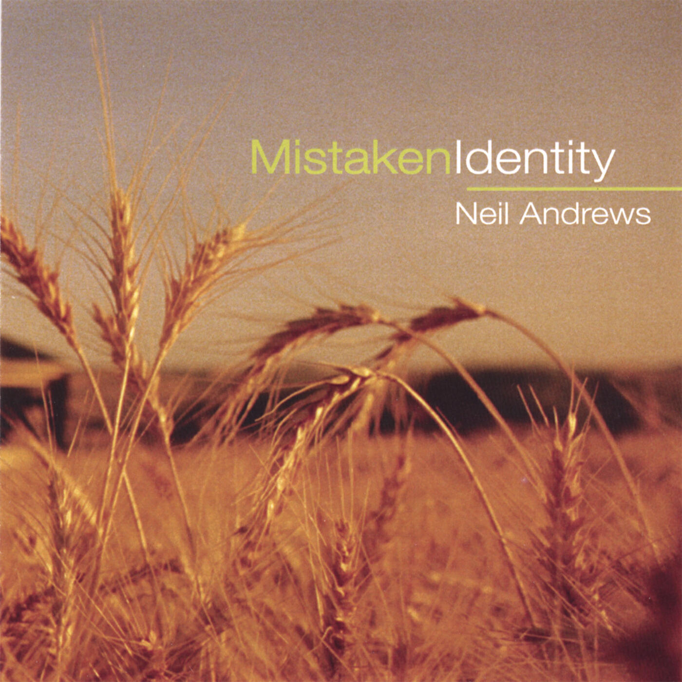 Релиз Mistaken Identity