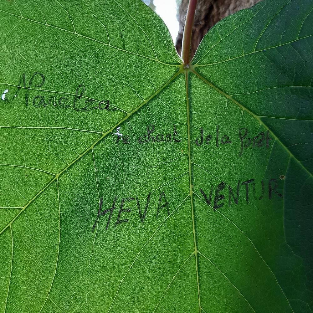 Релиз Narelza le chant de la forêt
