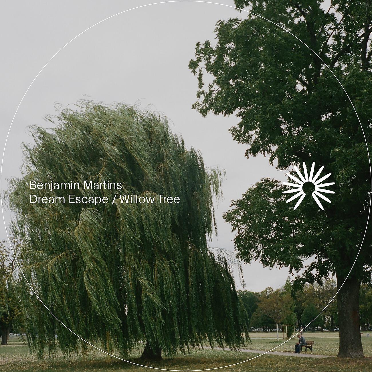 Постер альбома Dream Escape / Willow Tree