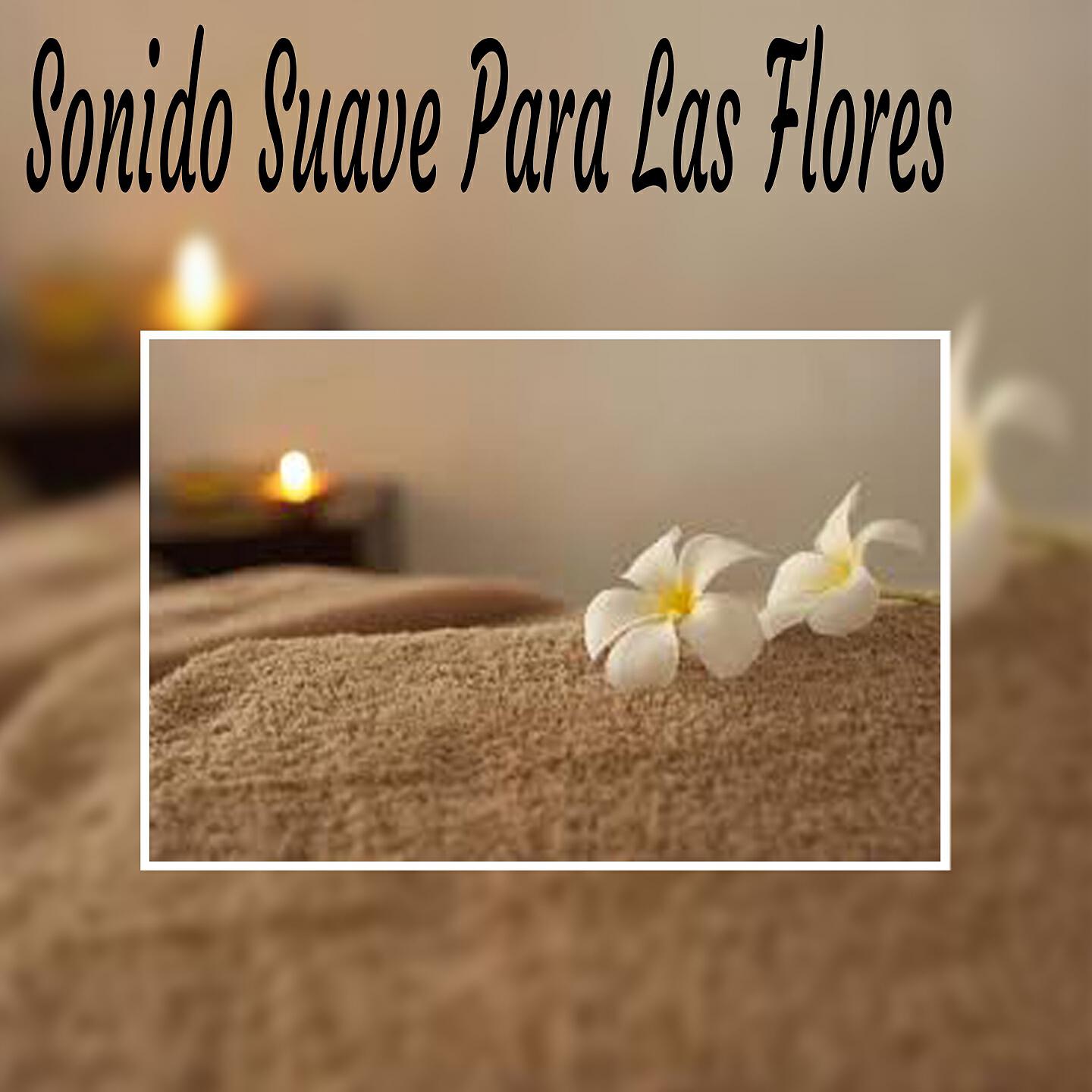 Релиз Sonido Suave para las Flores