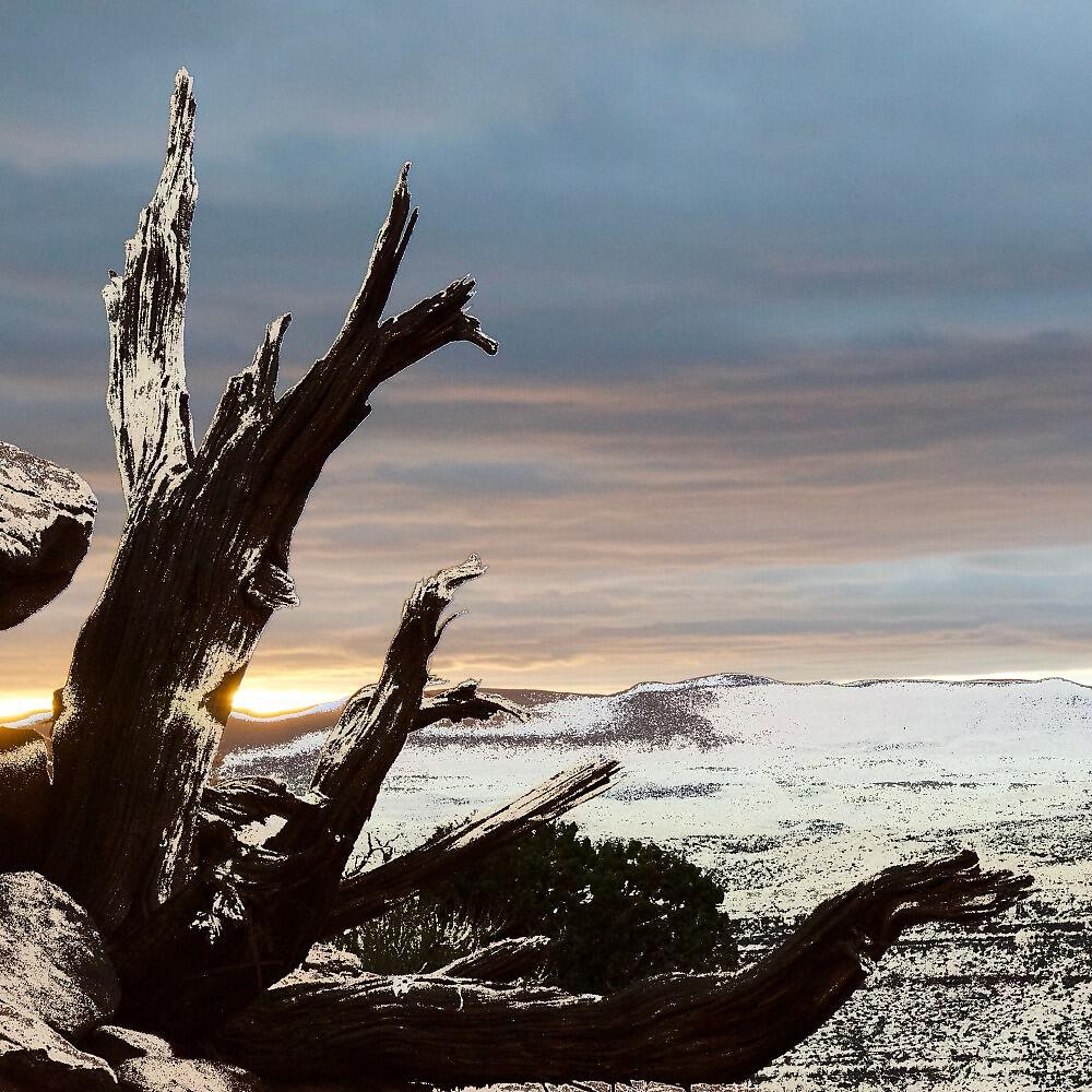 Релиз Quem Acreditaria Se o Inverno Dissesse Que Traz Dentro de Si a Primavera?