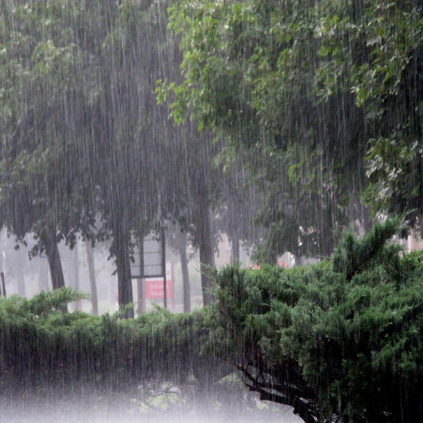 Релиз Pouring Rain