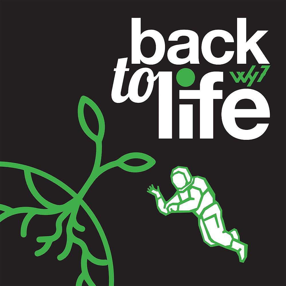 Релиз Back to Life