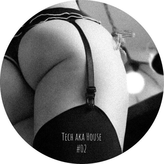 Релиз Tech Aka House #02