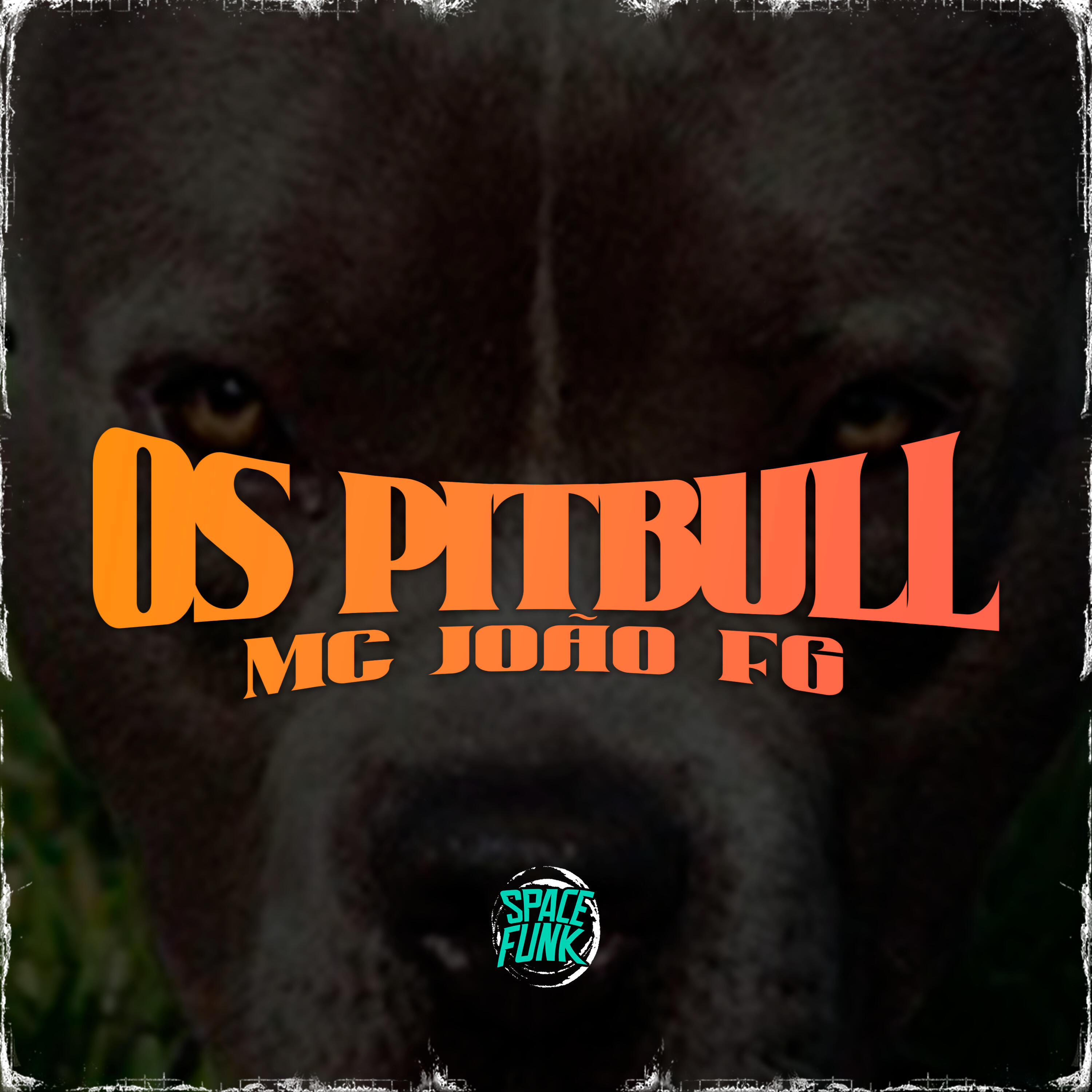 Скачать песню MC João FG, DJ Hud Original, Space Funk - Os Pitbull бесплатно в MP3 для Android и iOS
