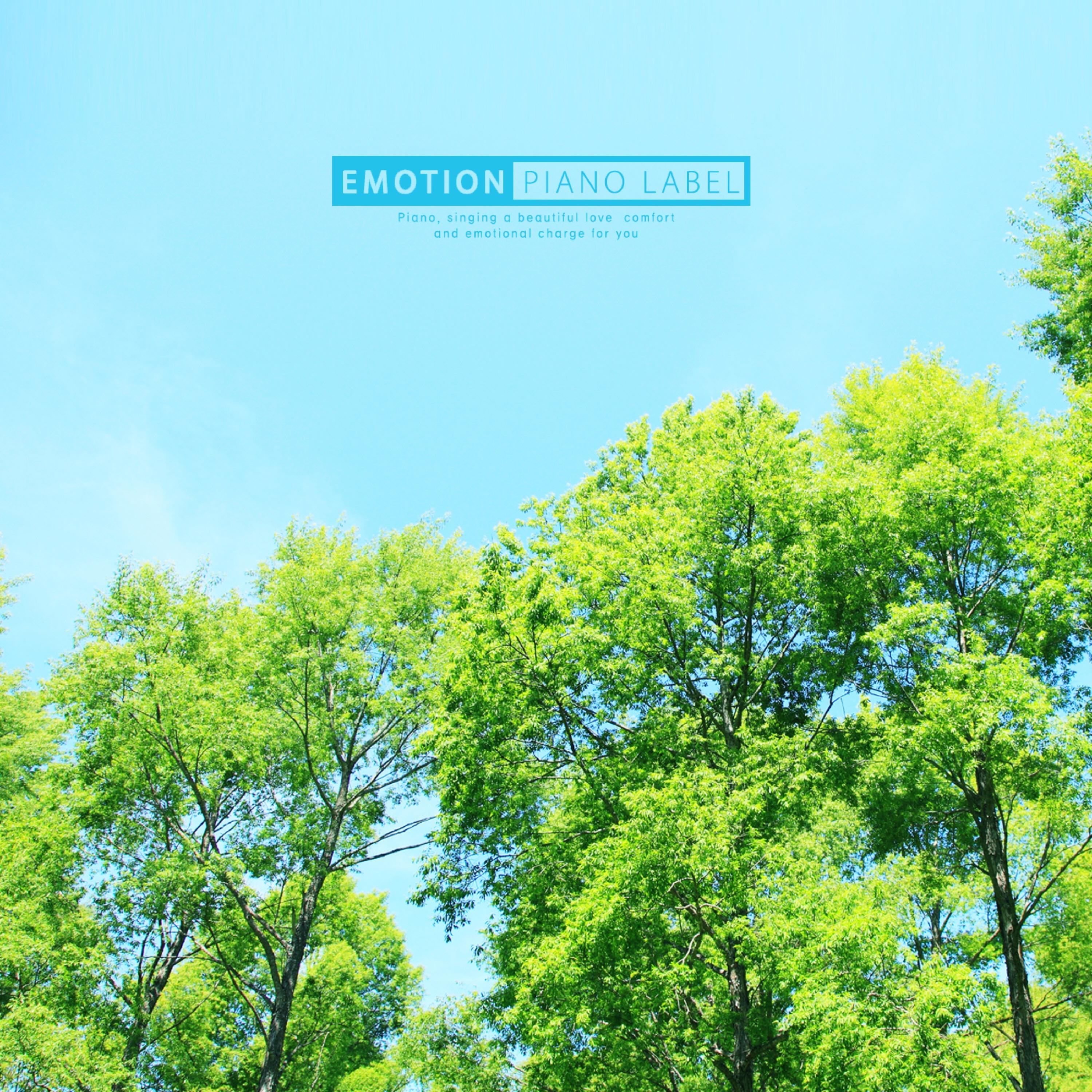 Релиз Sweet Piano Music for Meditation Time