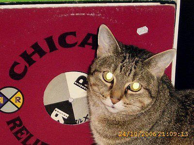 Larry de Kat
