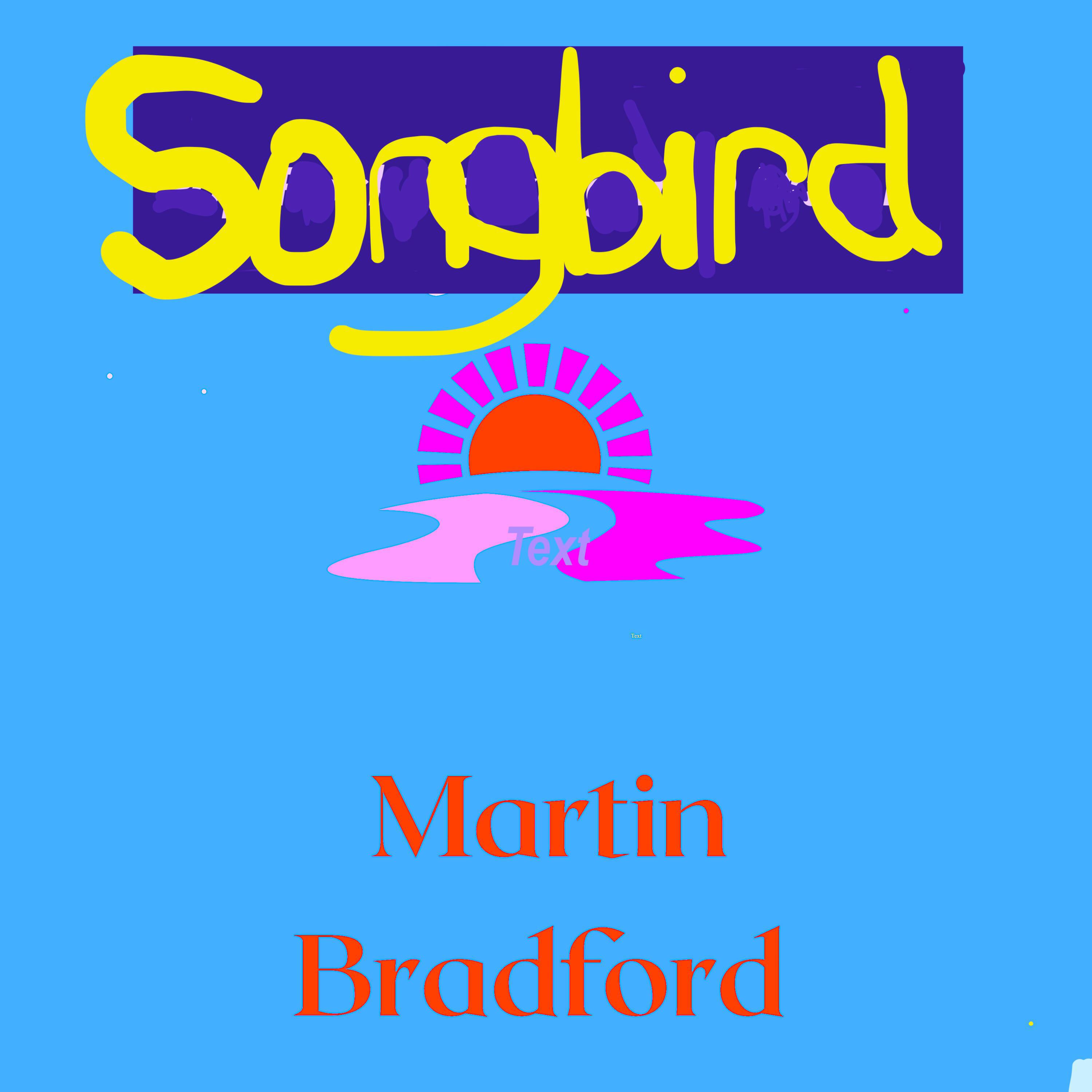 Martin Bradford