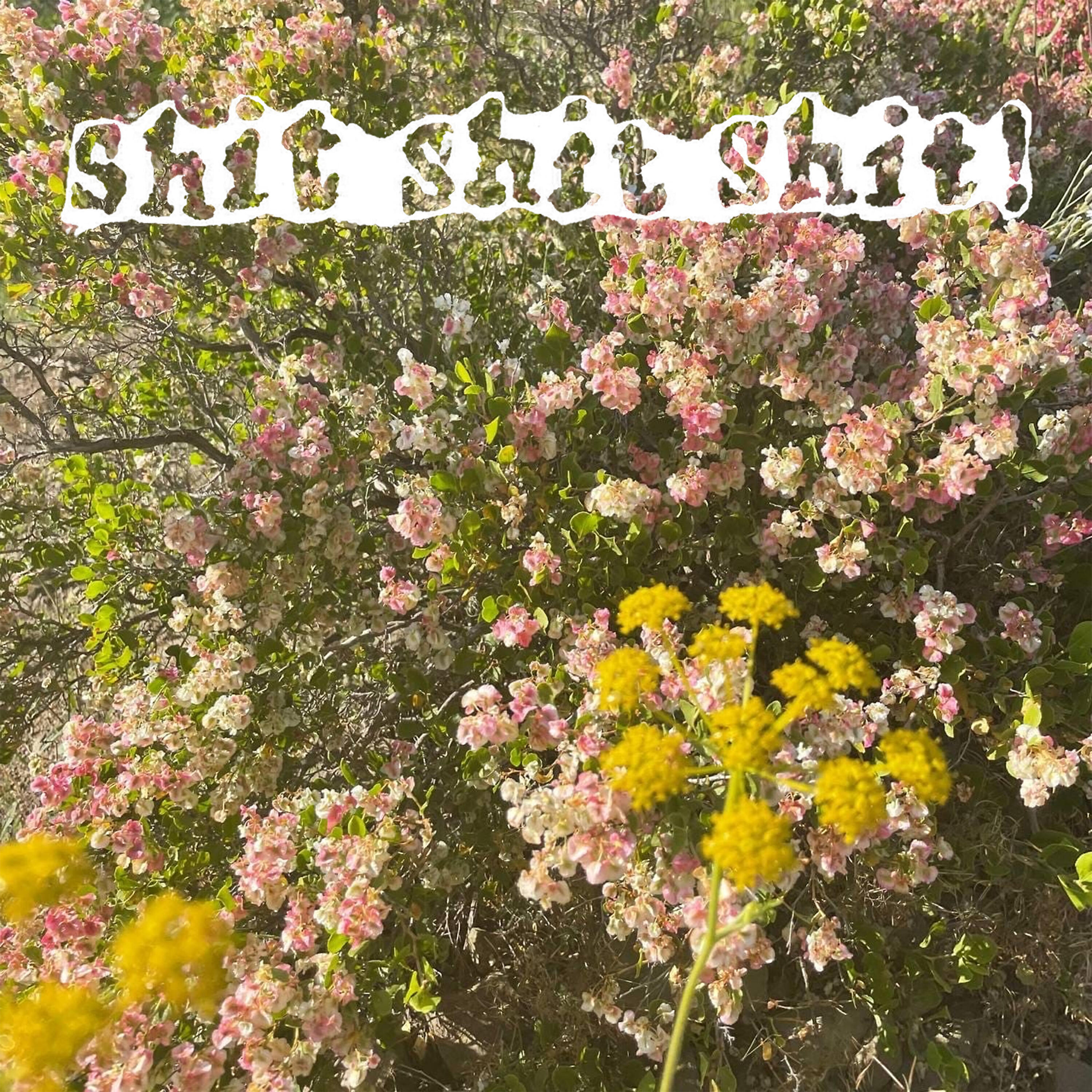 Релиз SUNSAD