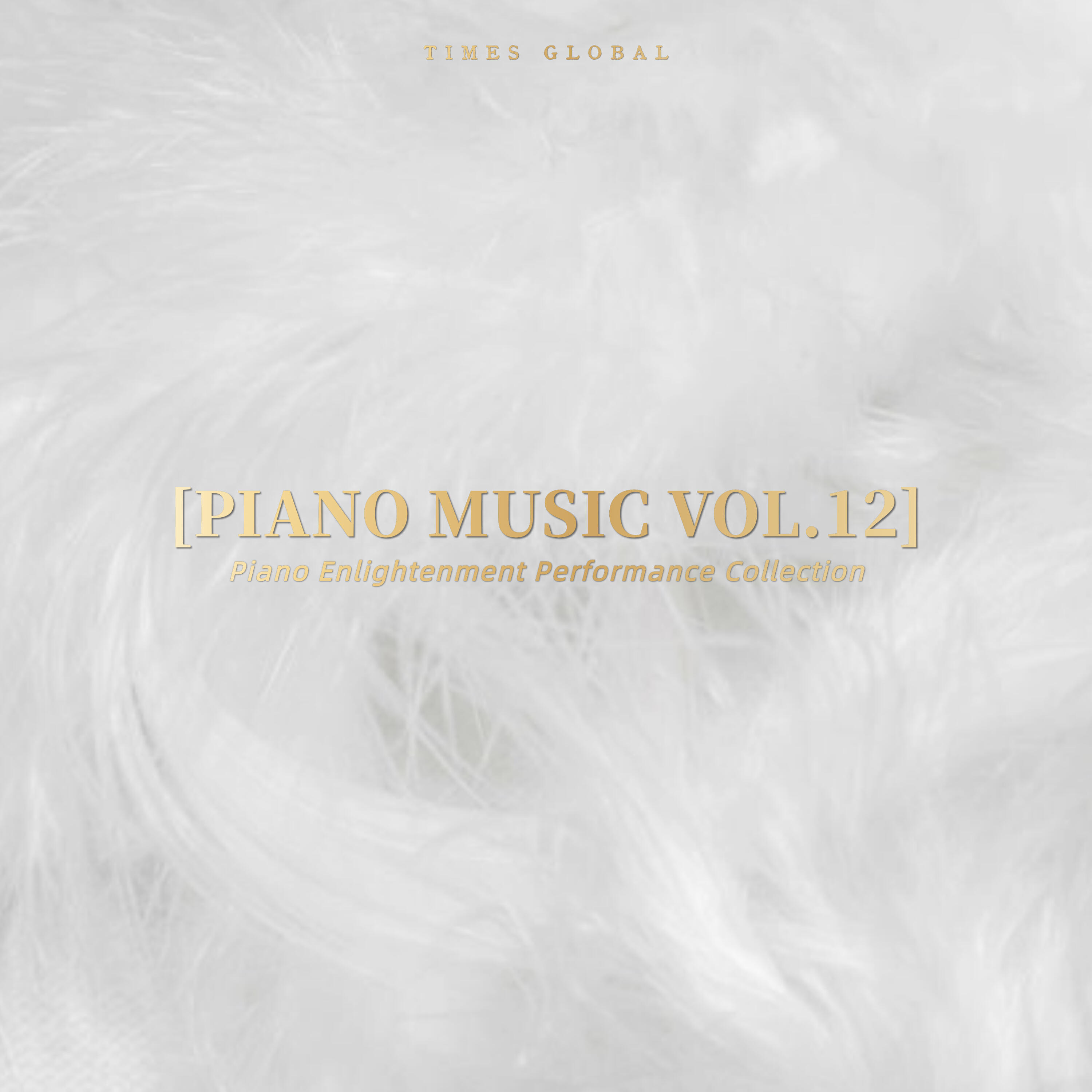 Релиз 时代环球娱乐钢琴演奏音乐合辑 Vol.12