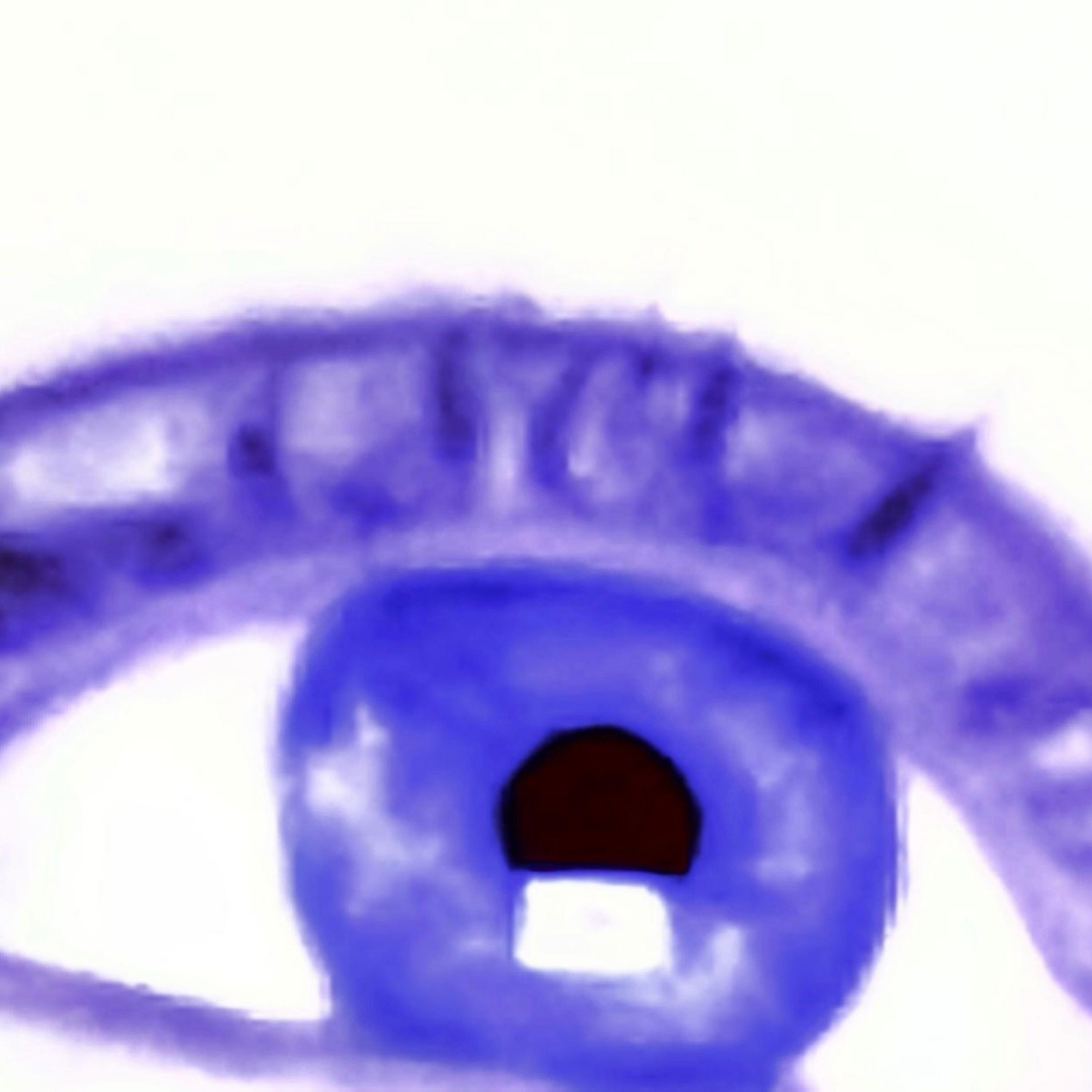 SNIEK